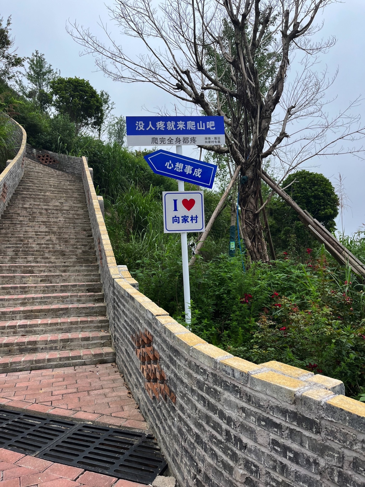 隆回县向家牛天岭景区旅行图片