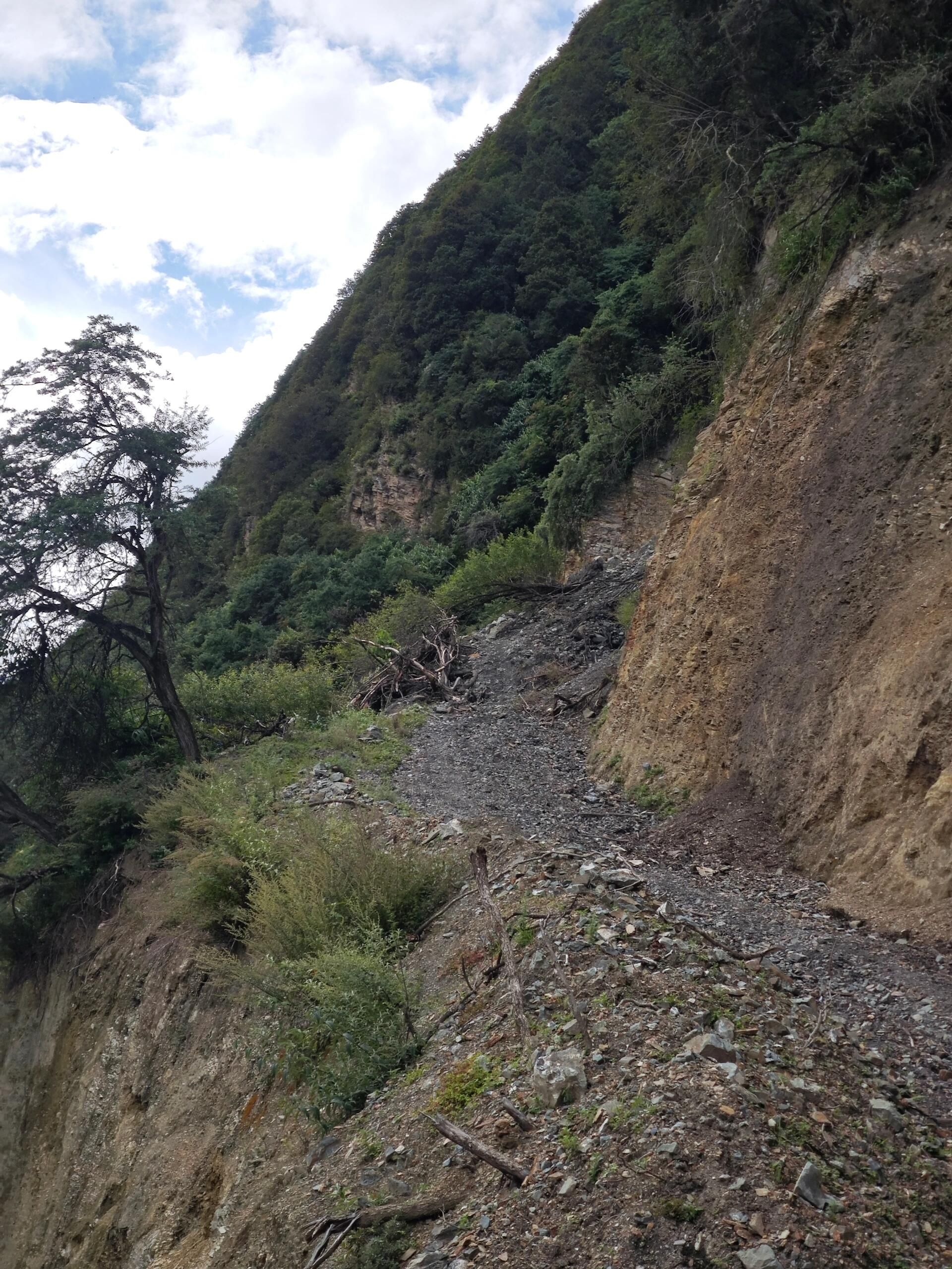 胆扎木沟红山旅游风景区旅行图片