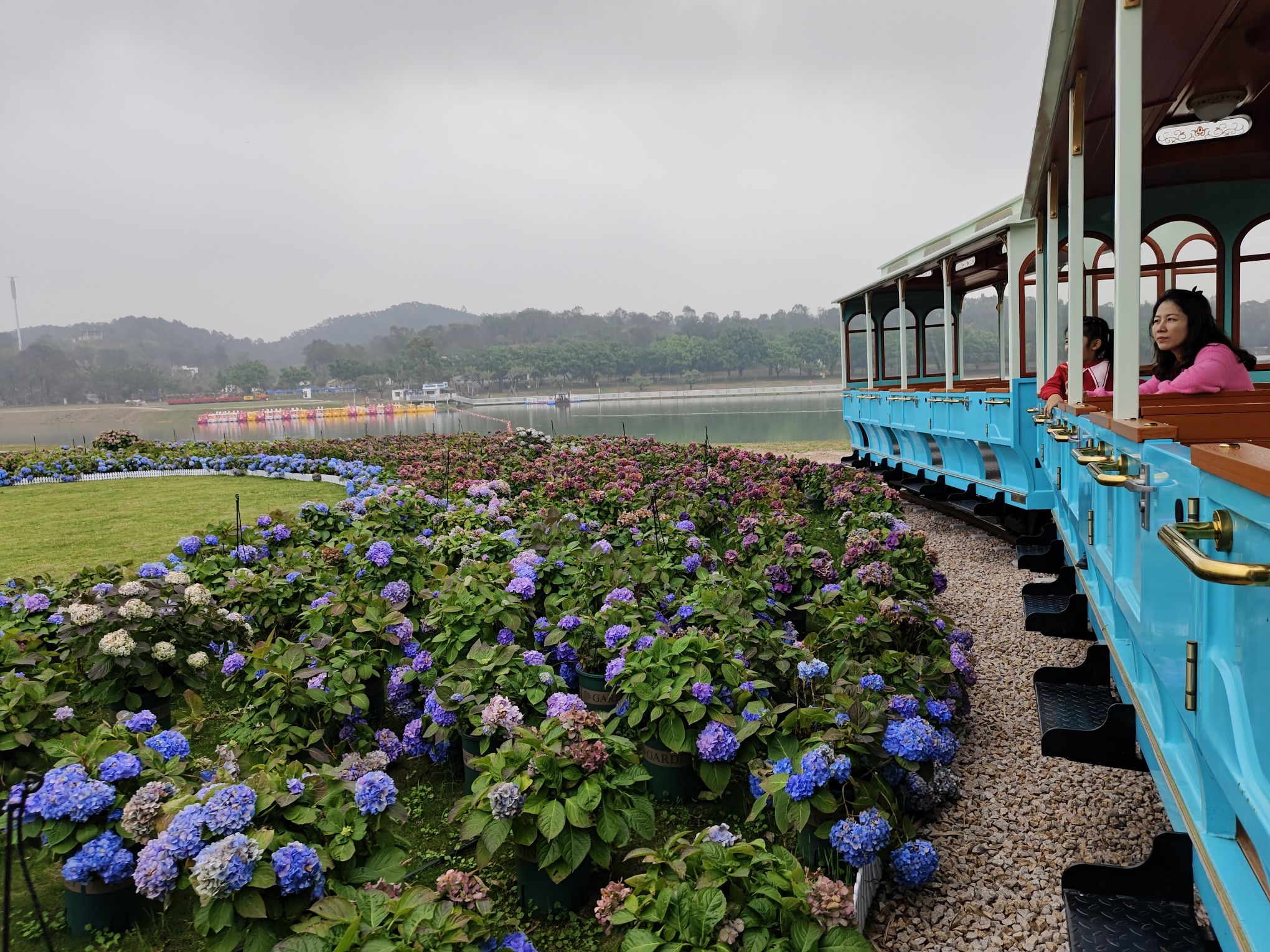 广州花都马岭观花植物园