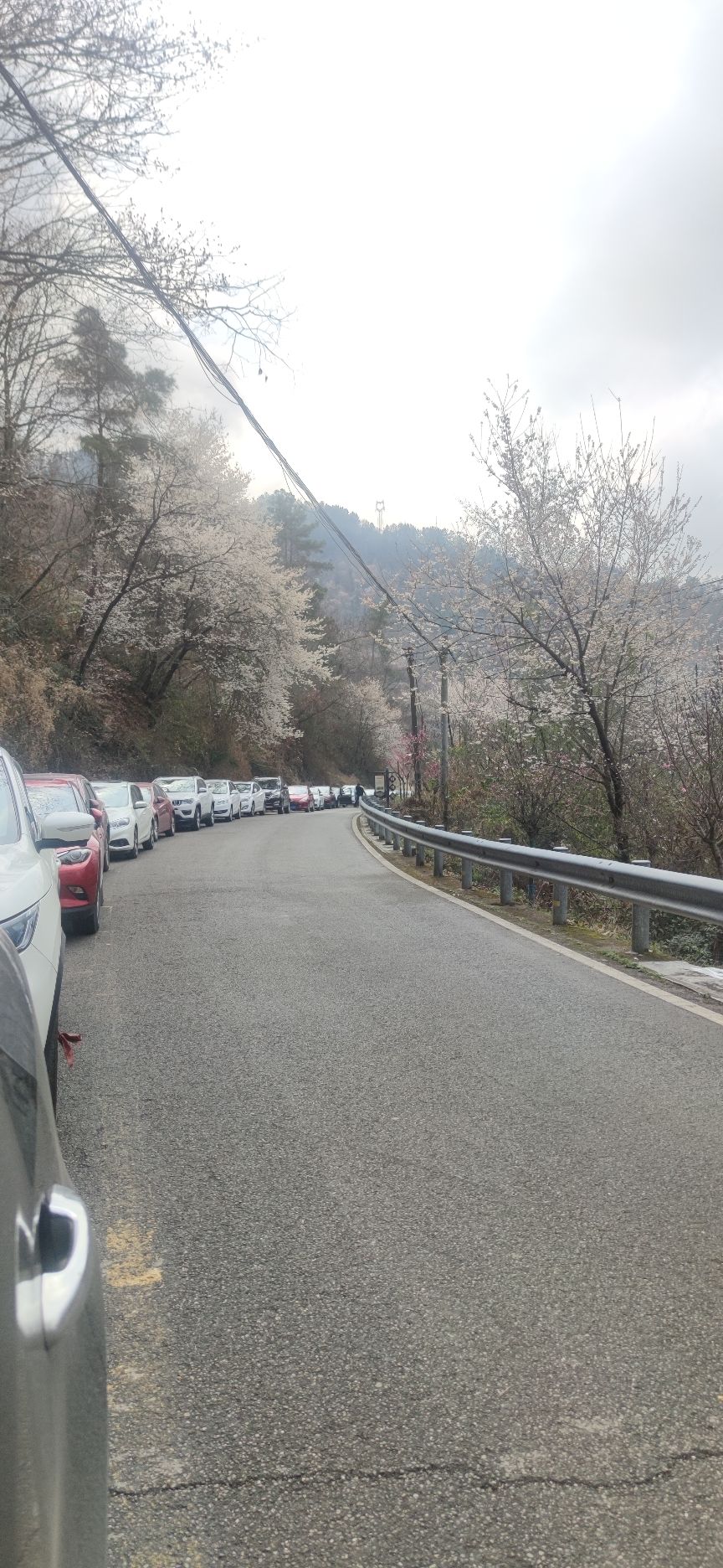 印象梅林景区旅行图片