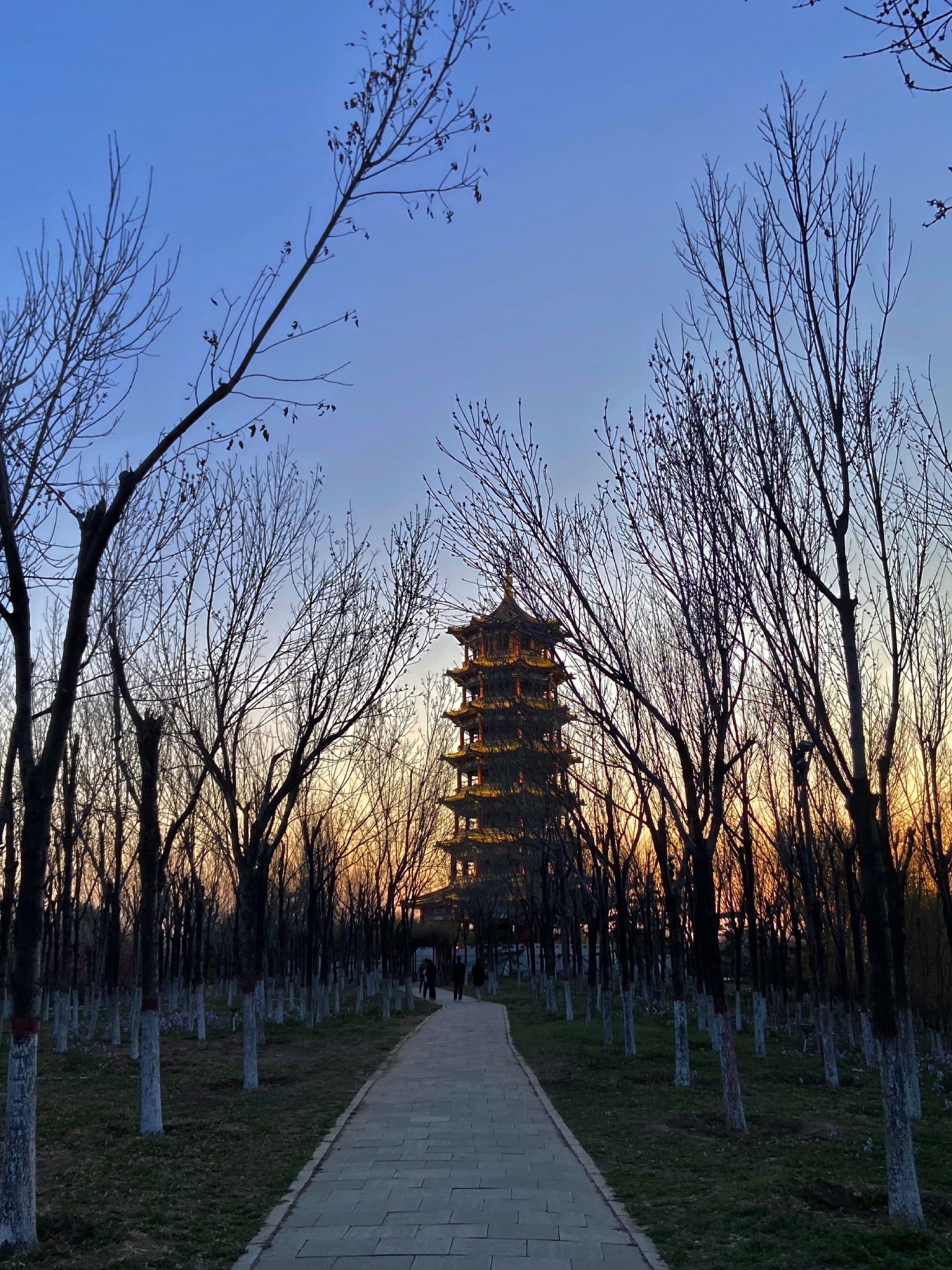 揽秀塔旅行图片