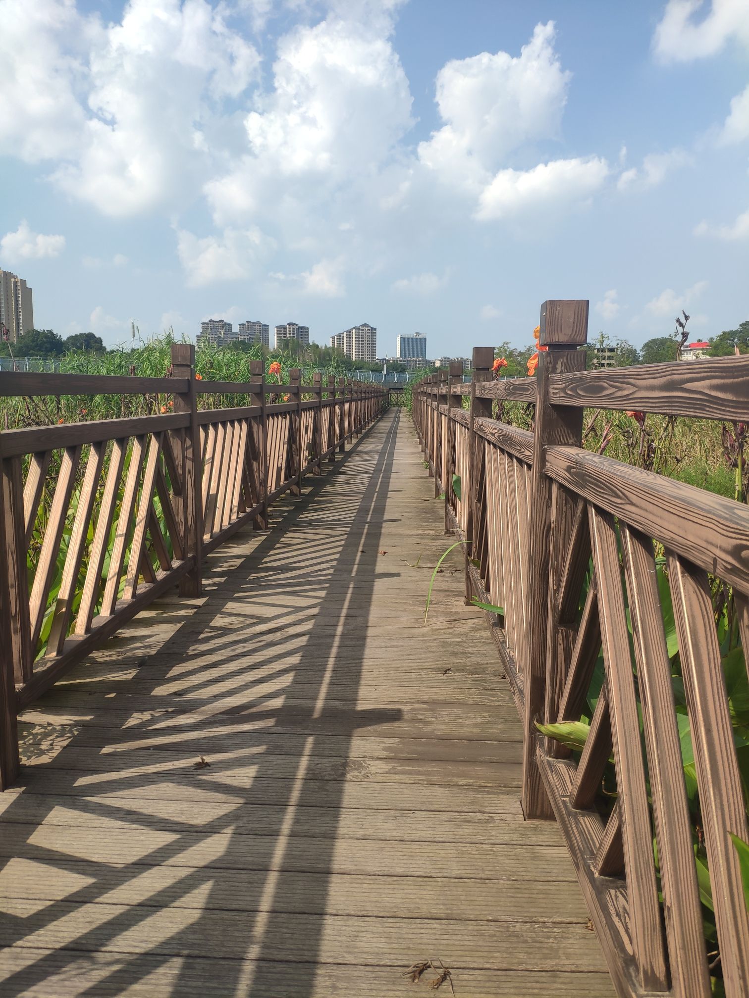 芳兰湖景区