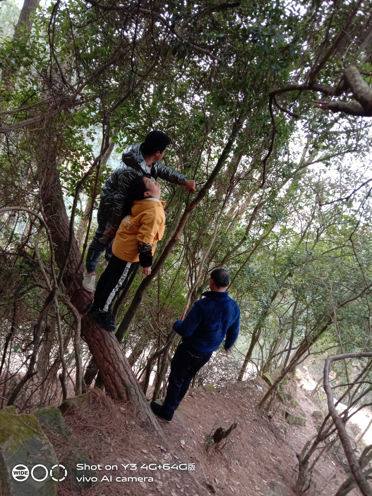 天鹰寨风景区