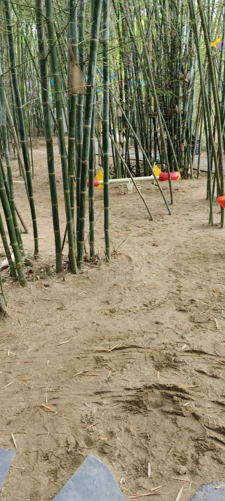 励志碧道公园