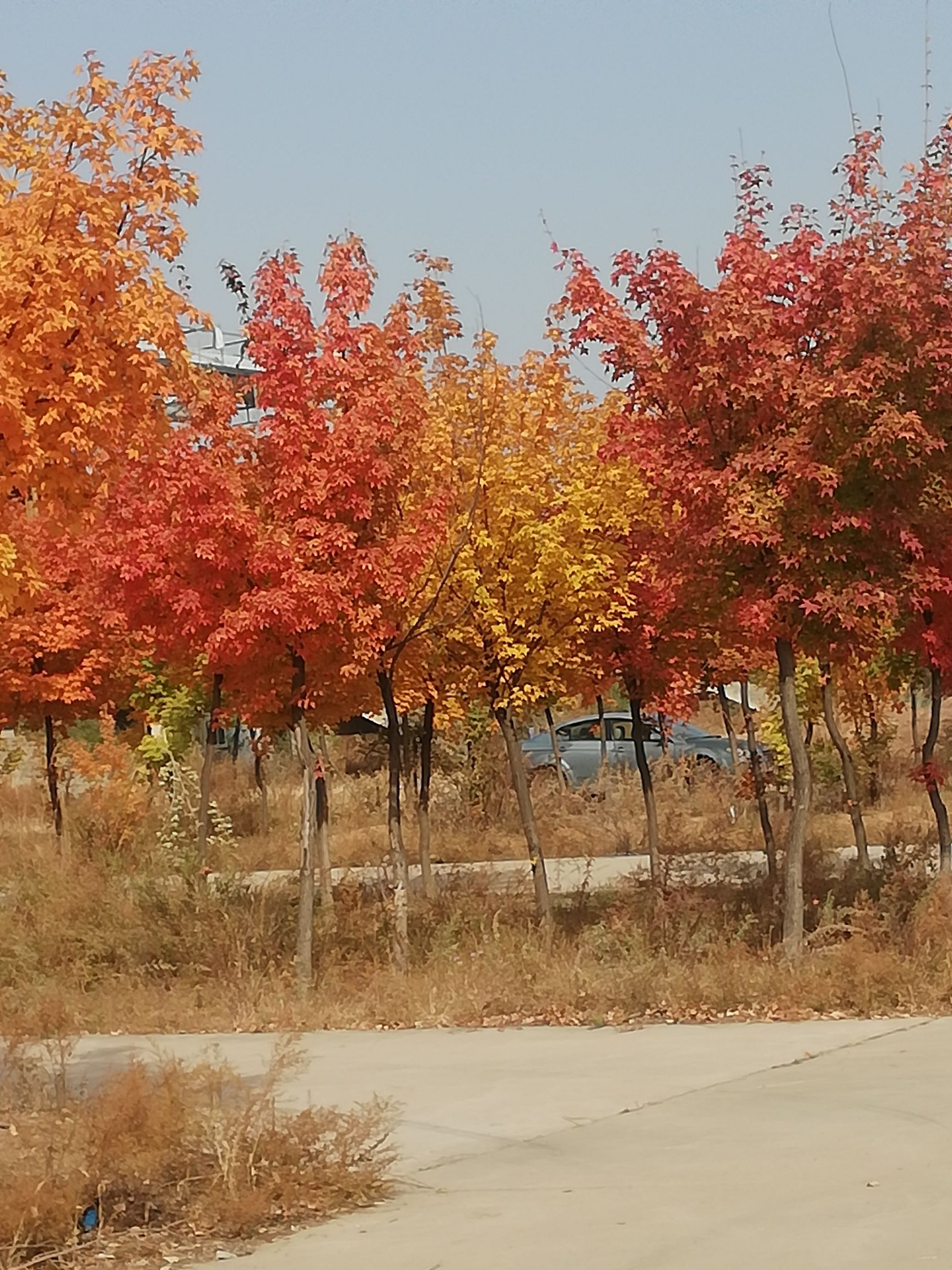 赵家沟