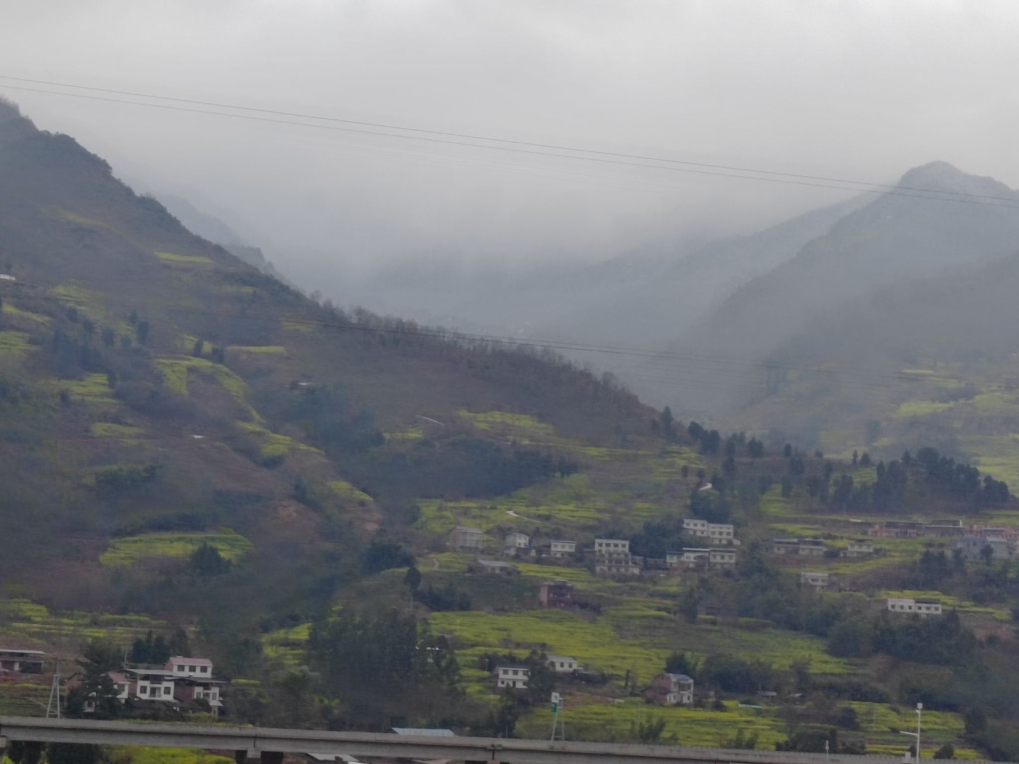 中都秘境油菜花观景台旅行图片