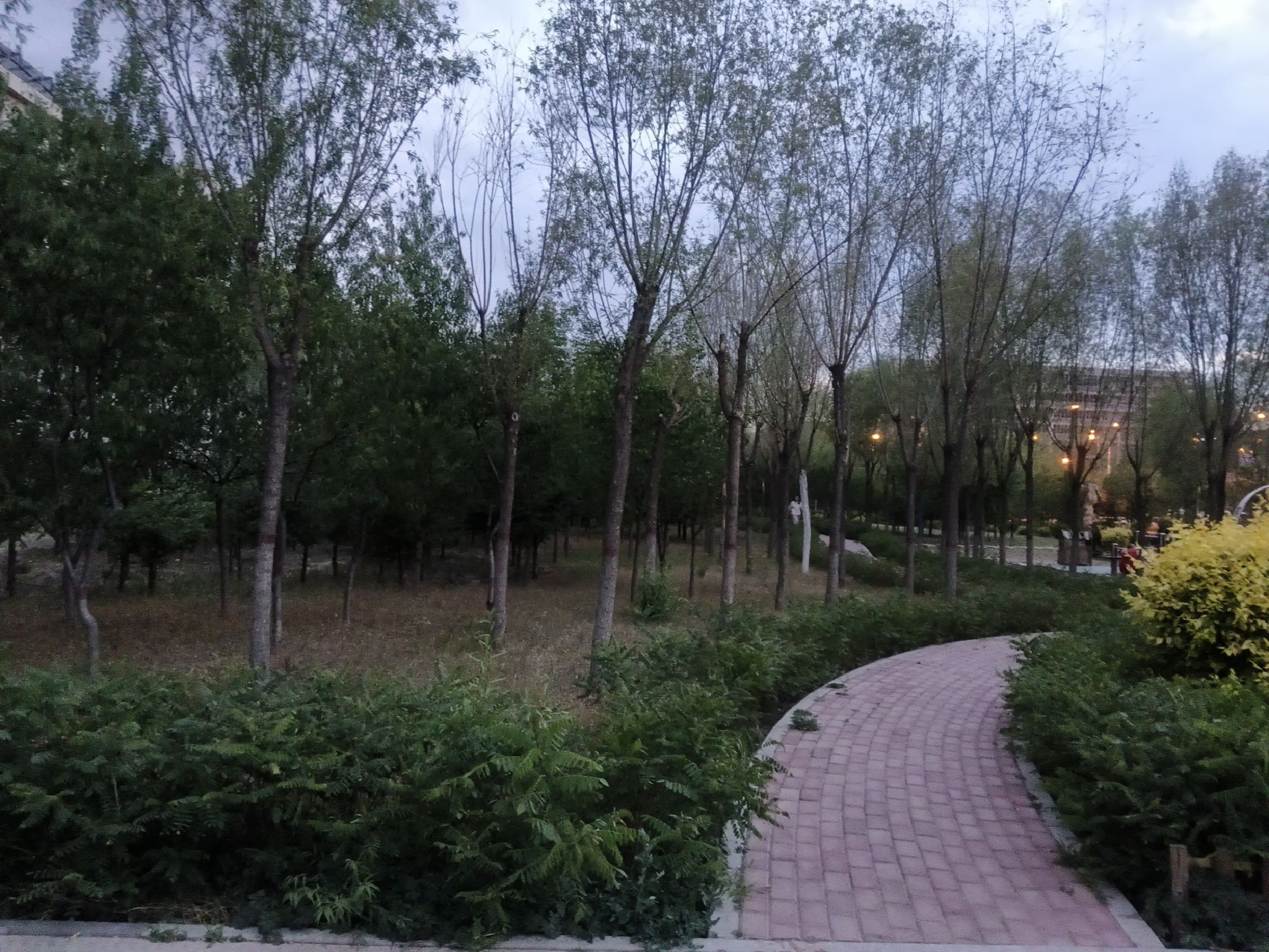 科尔沁体育公园旅行图片