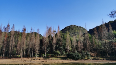 醉怡山庄旅行图片