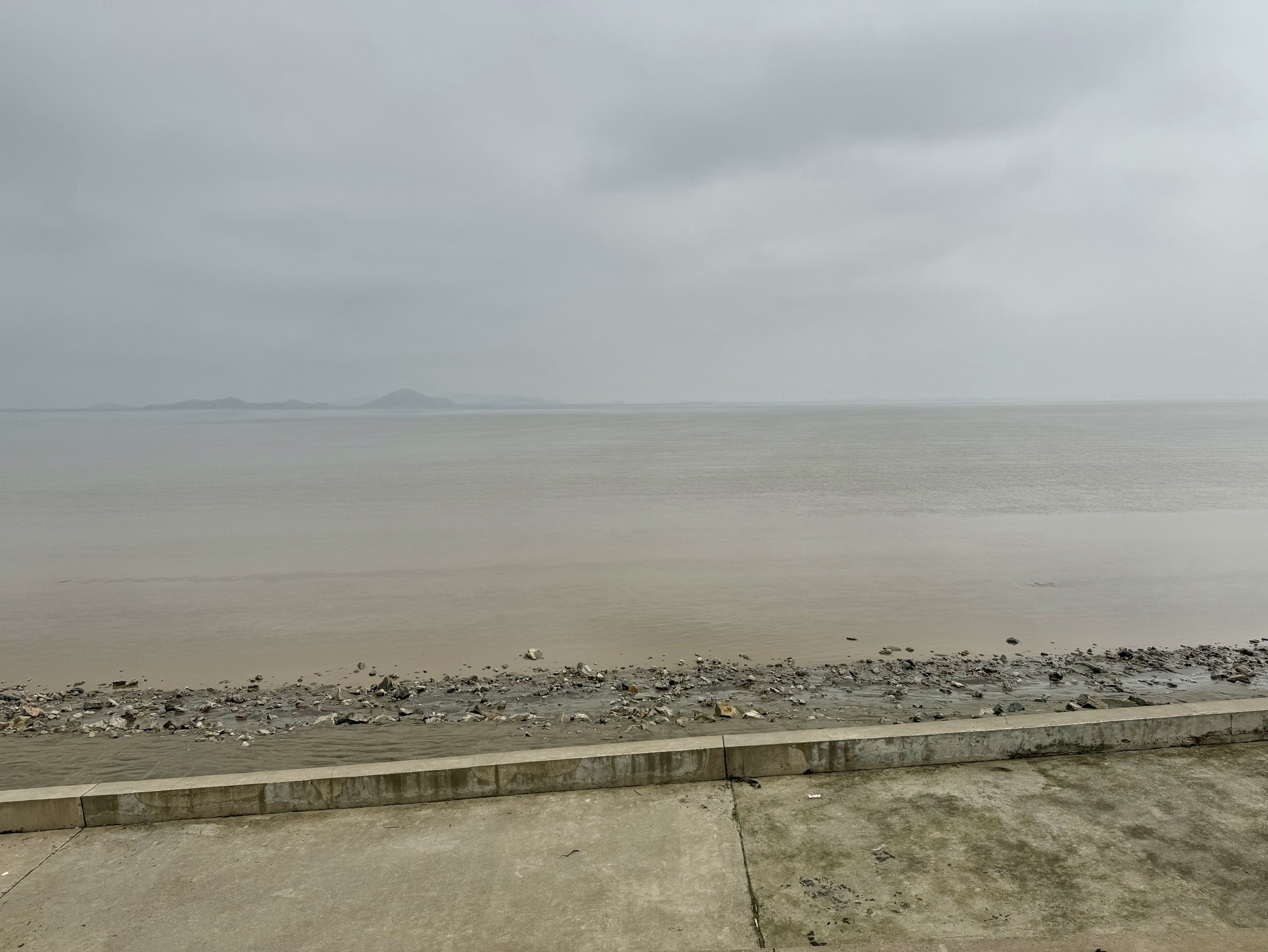 杭州钱塘大湾区湿地公园
