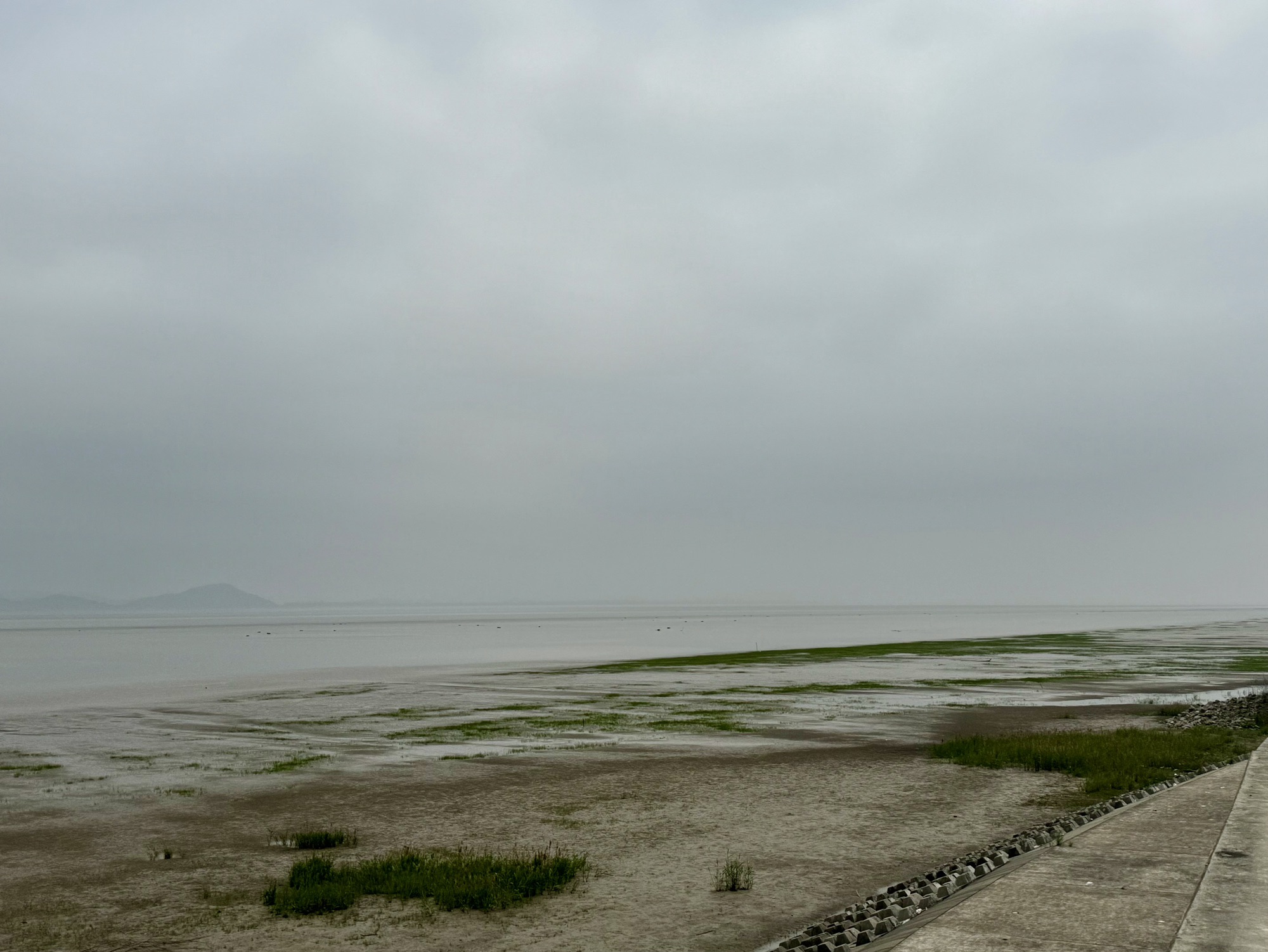 杭州钱塘大湾区湿地公园旅行图片