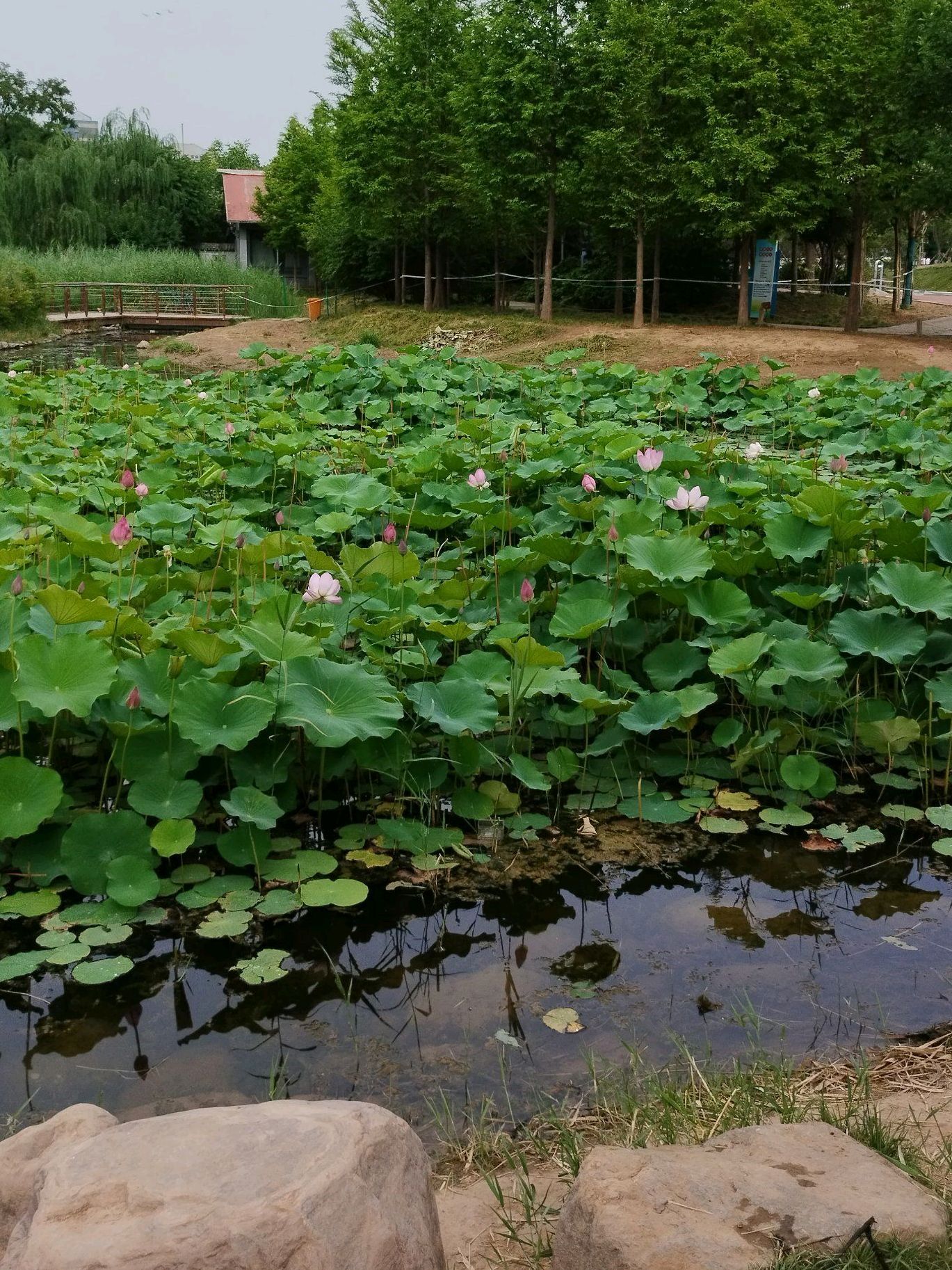 黄河博物馆旧址旅行图片