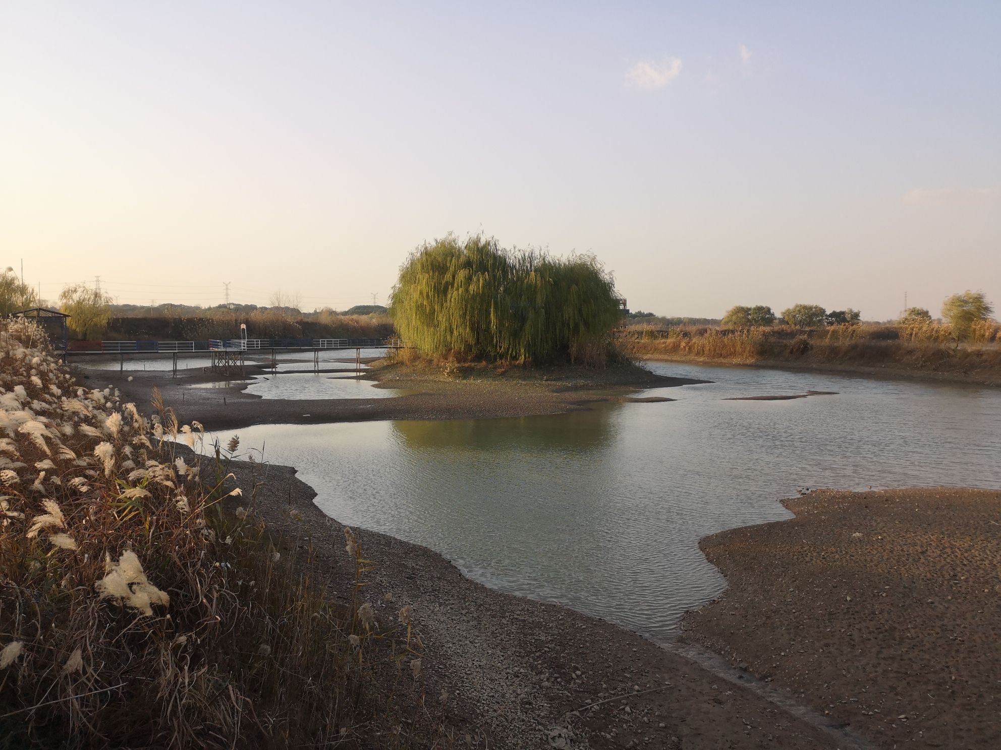 安徽芜湖东草湖省级湿地公园