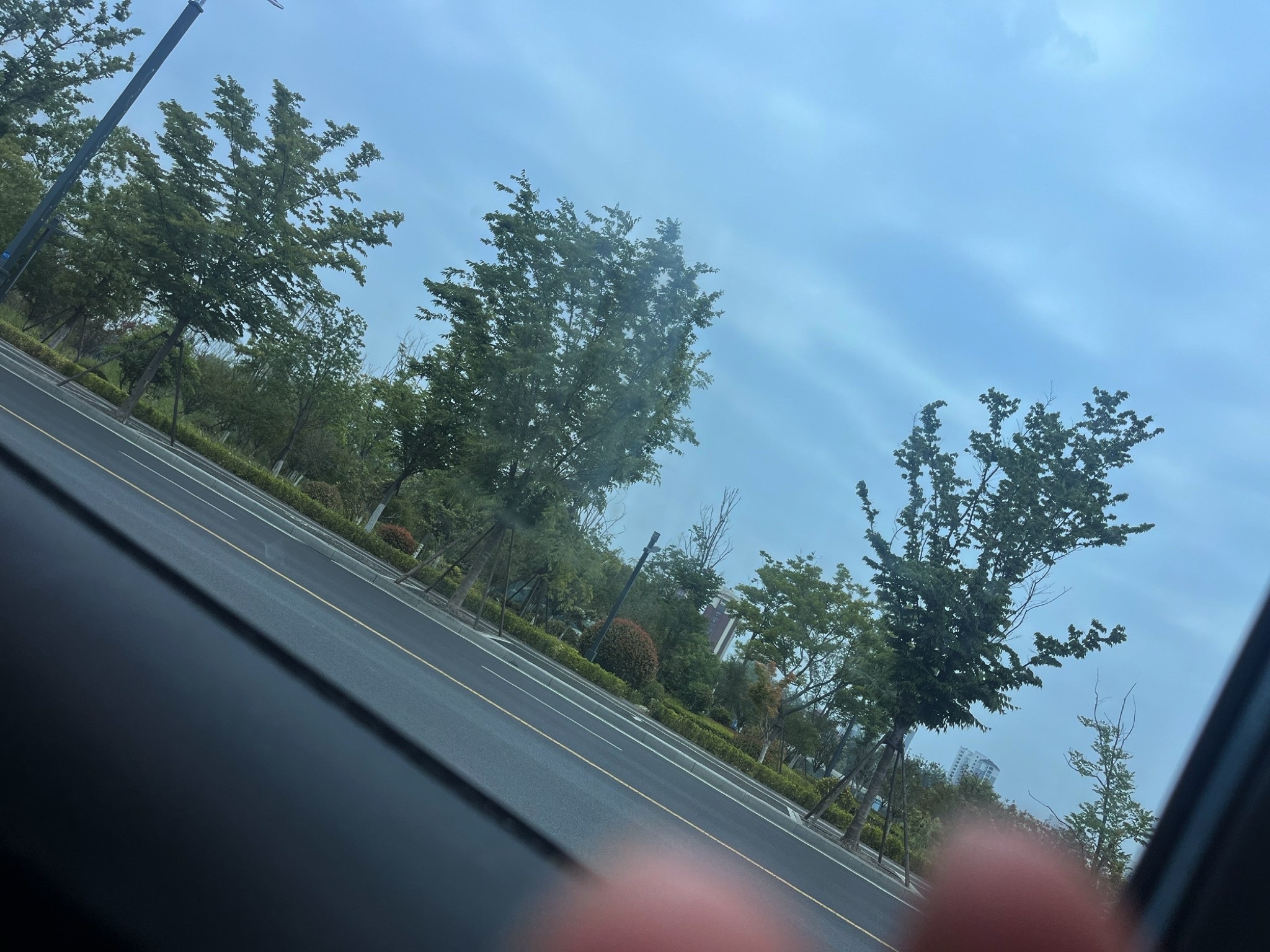 宿迁运河湾公园旅行图片