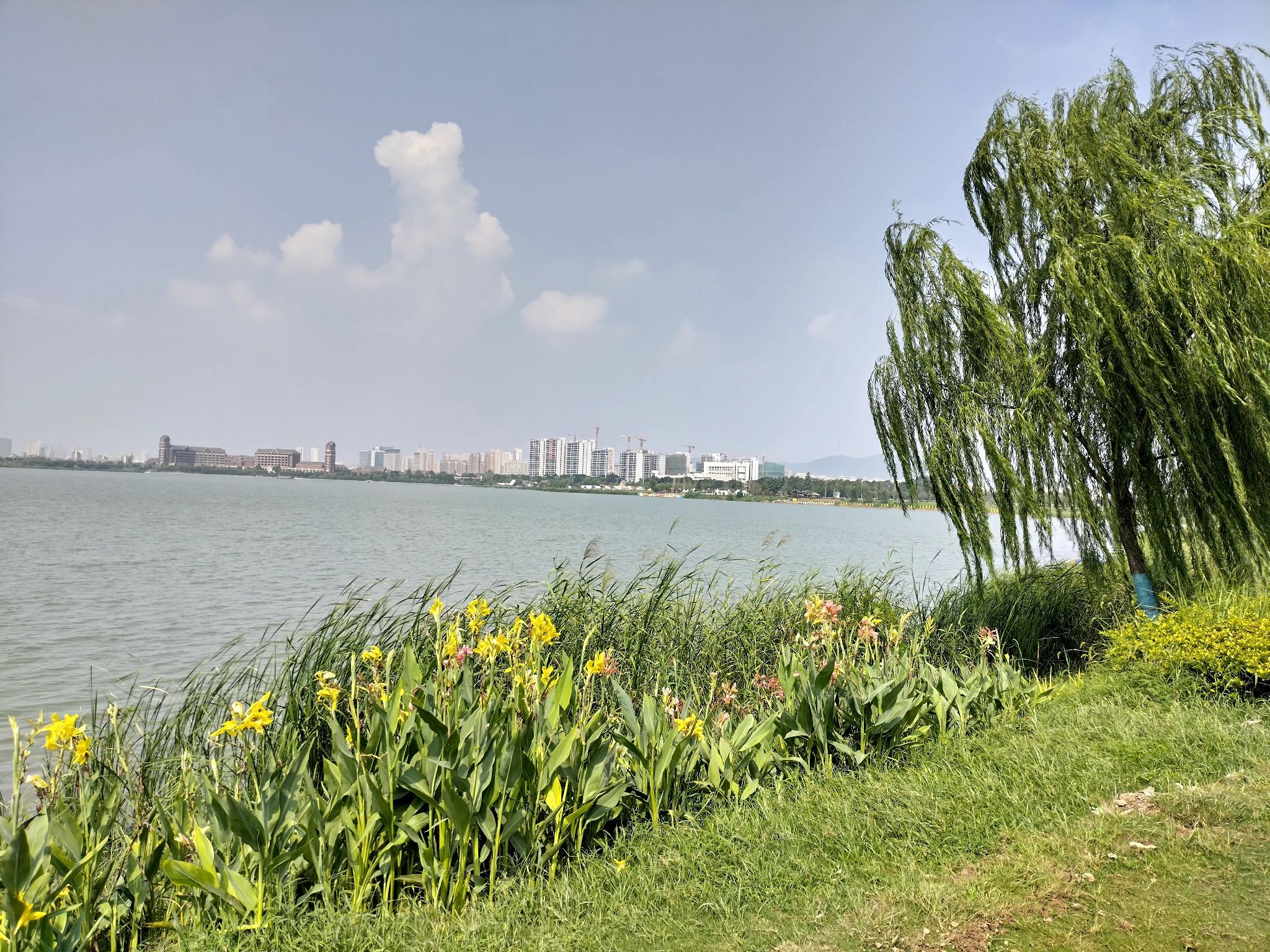 绿金湖湿地公园