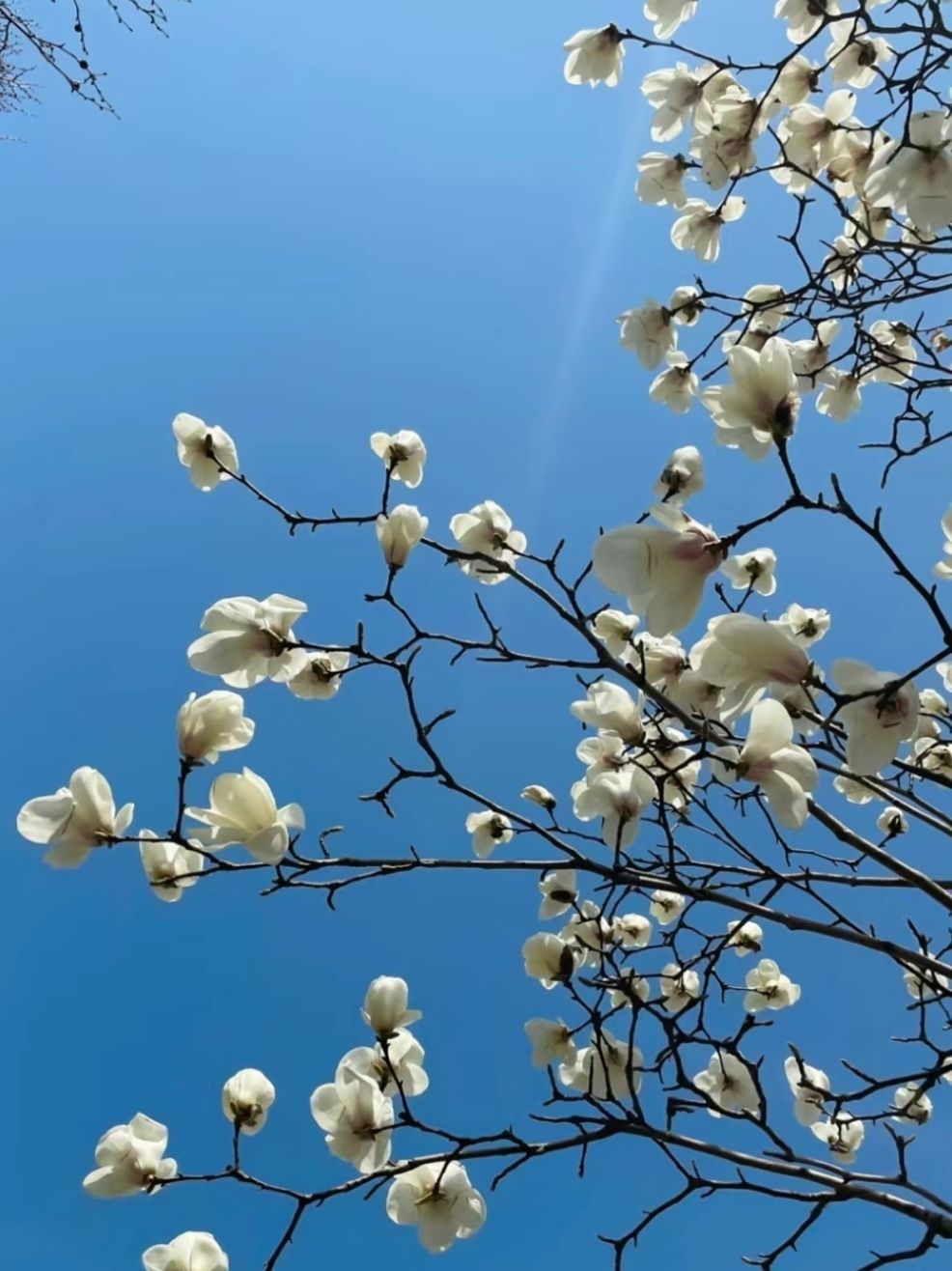 花仙谷景区旅行图片