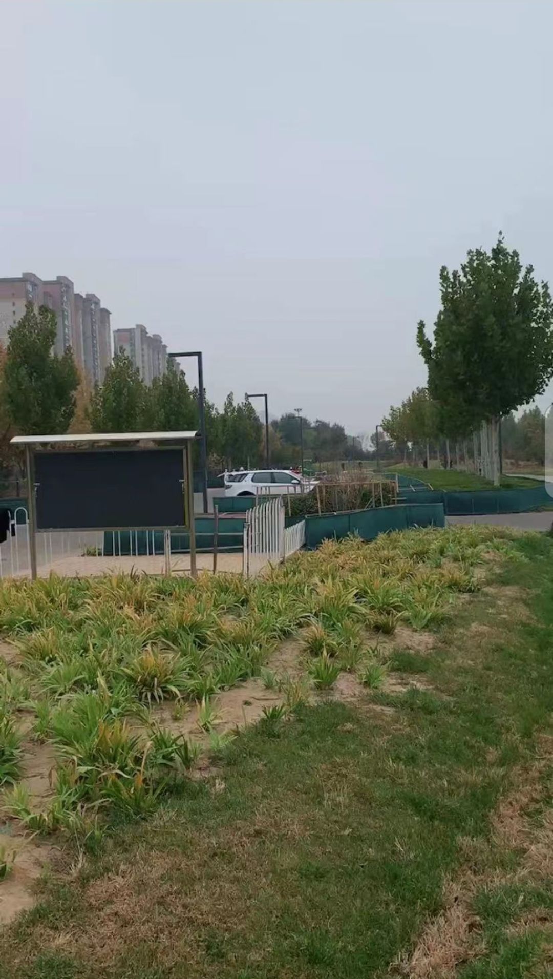 西红门生态公园旅行图片