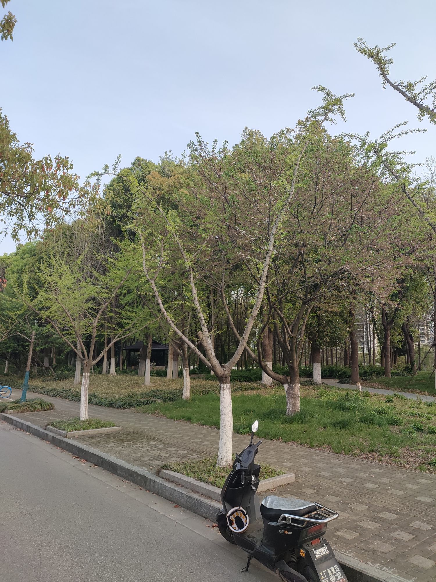伯渎河公园旅行图片