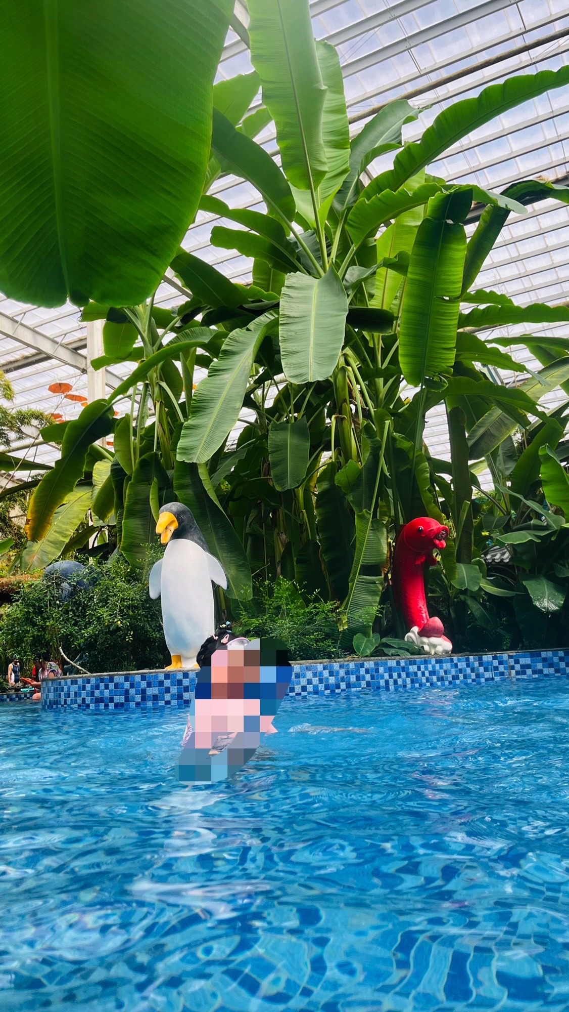 龙腾温泉度假村旅行图片