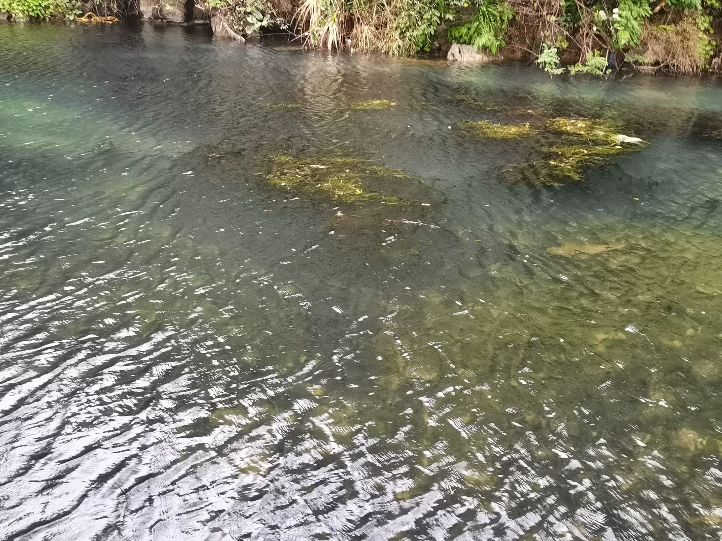 石岩生态旅游景区