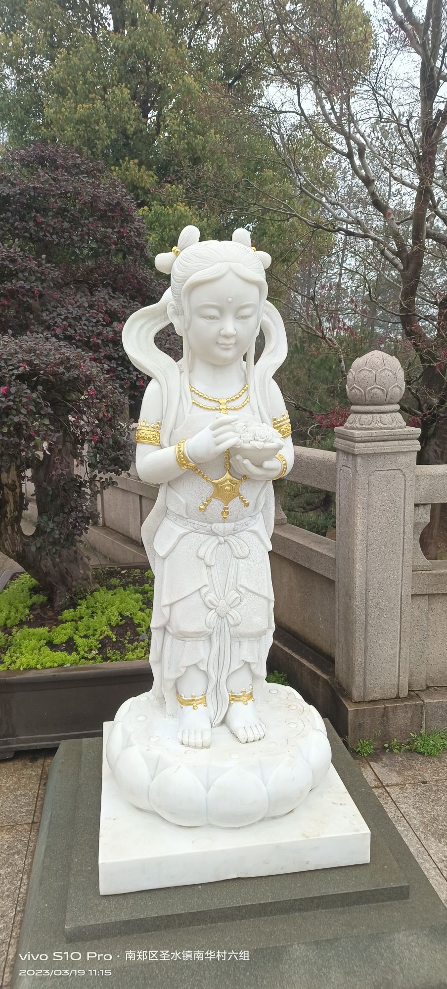 通远古村旅行图片