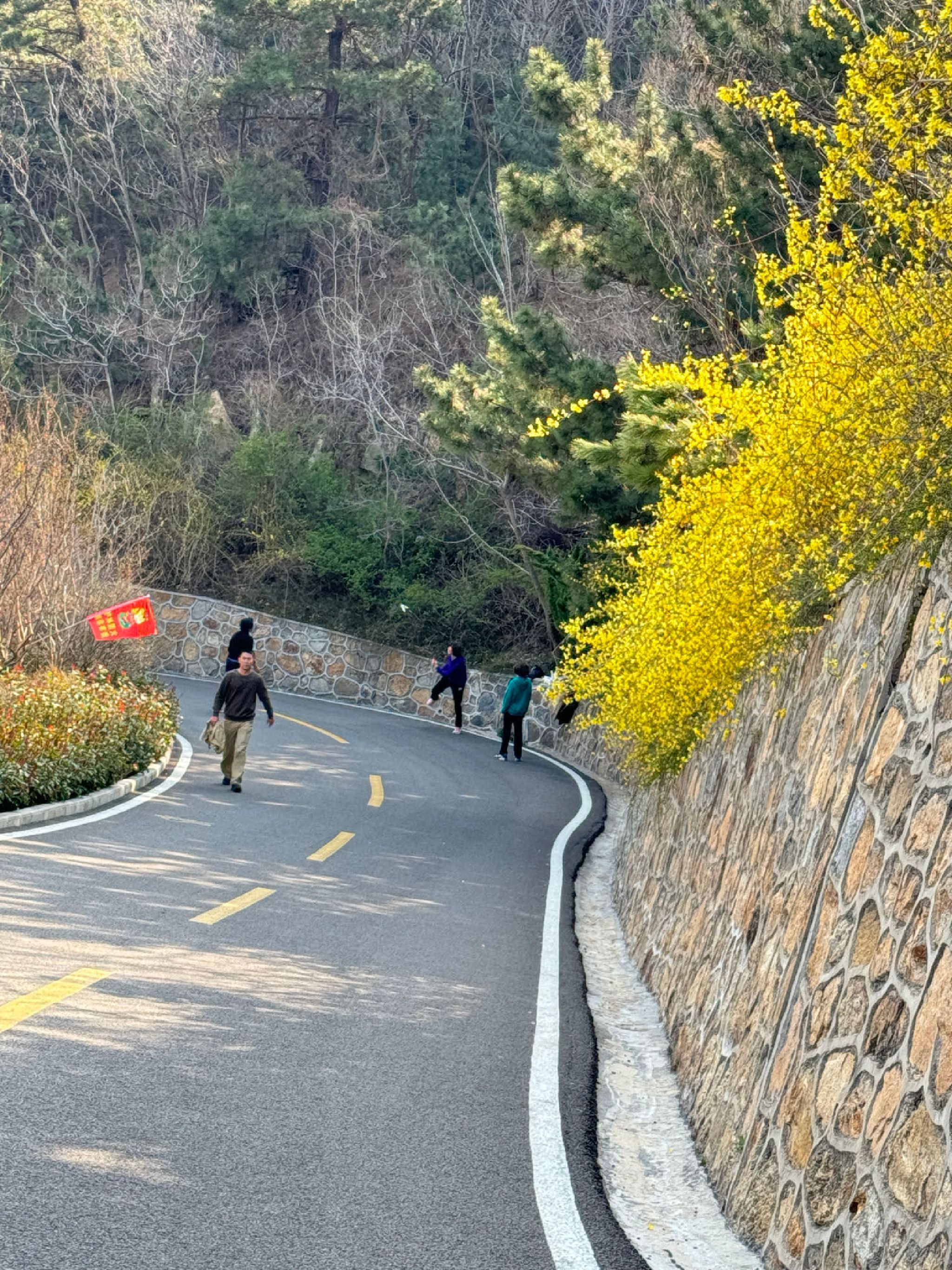开花石景区旅行图片