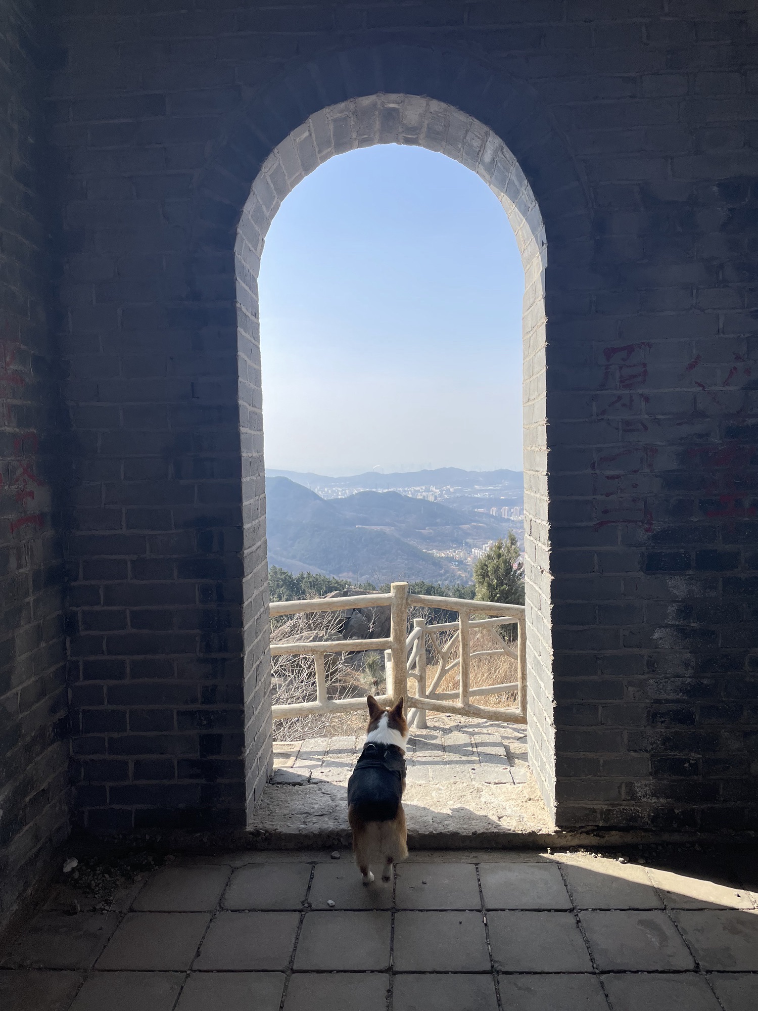 开花石景区旅行图片