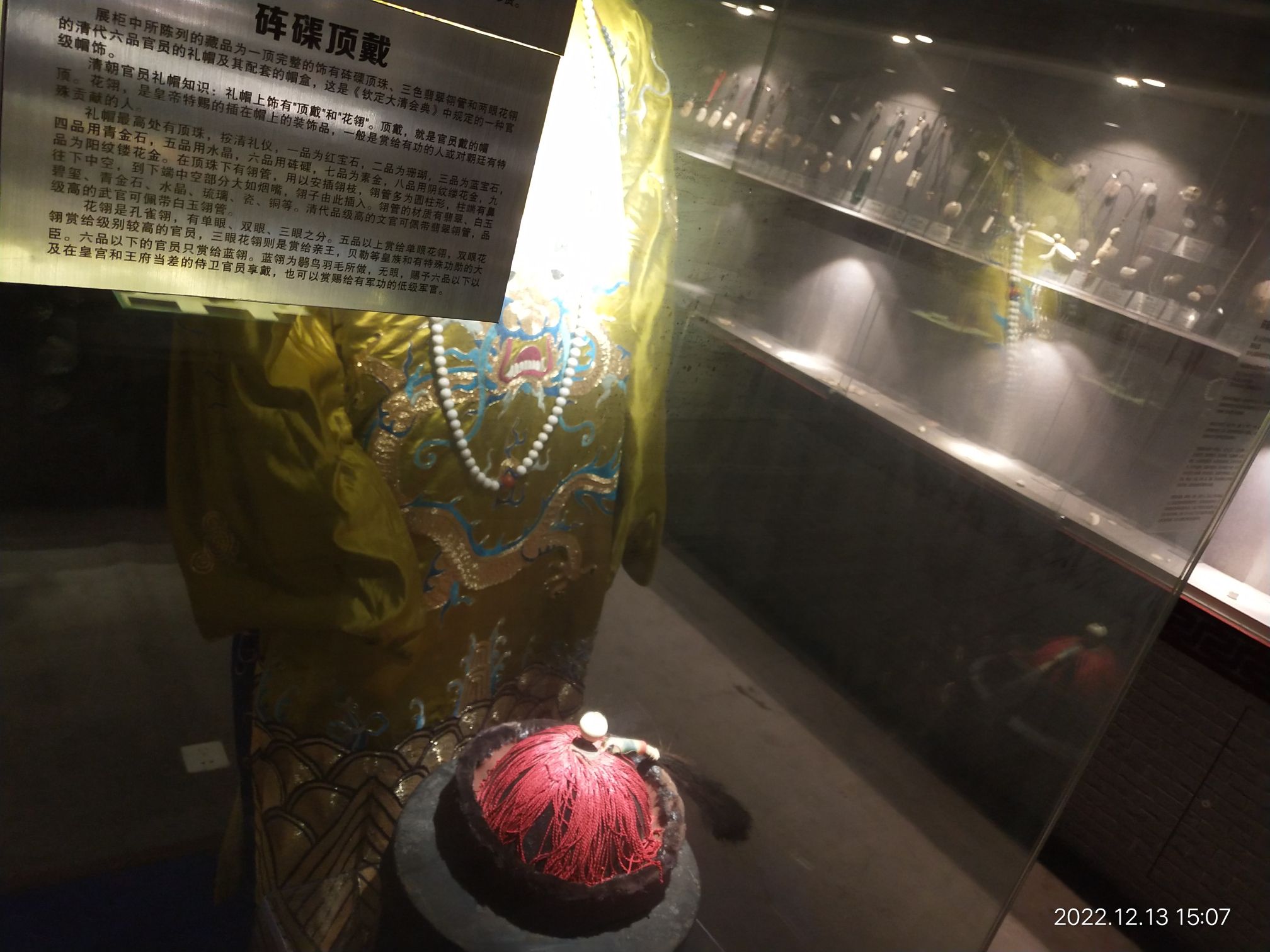 郑州山海砗磲博物馆