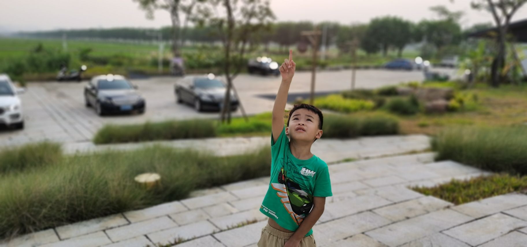 朱村街丝苗米文化公园旅行图片
