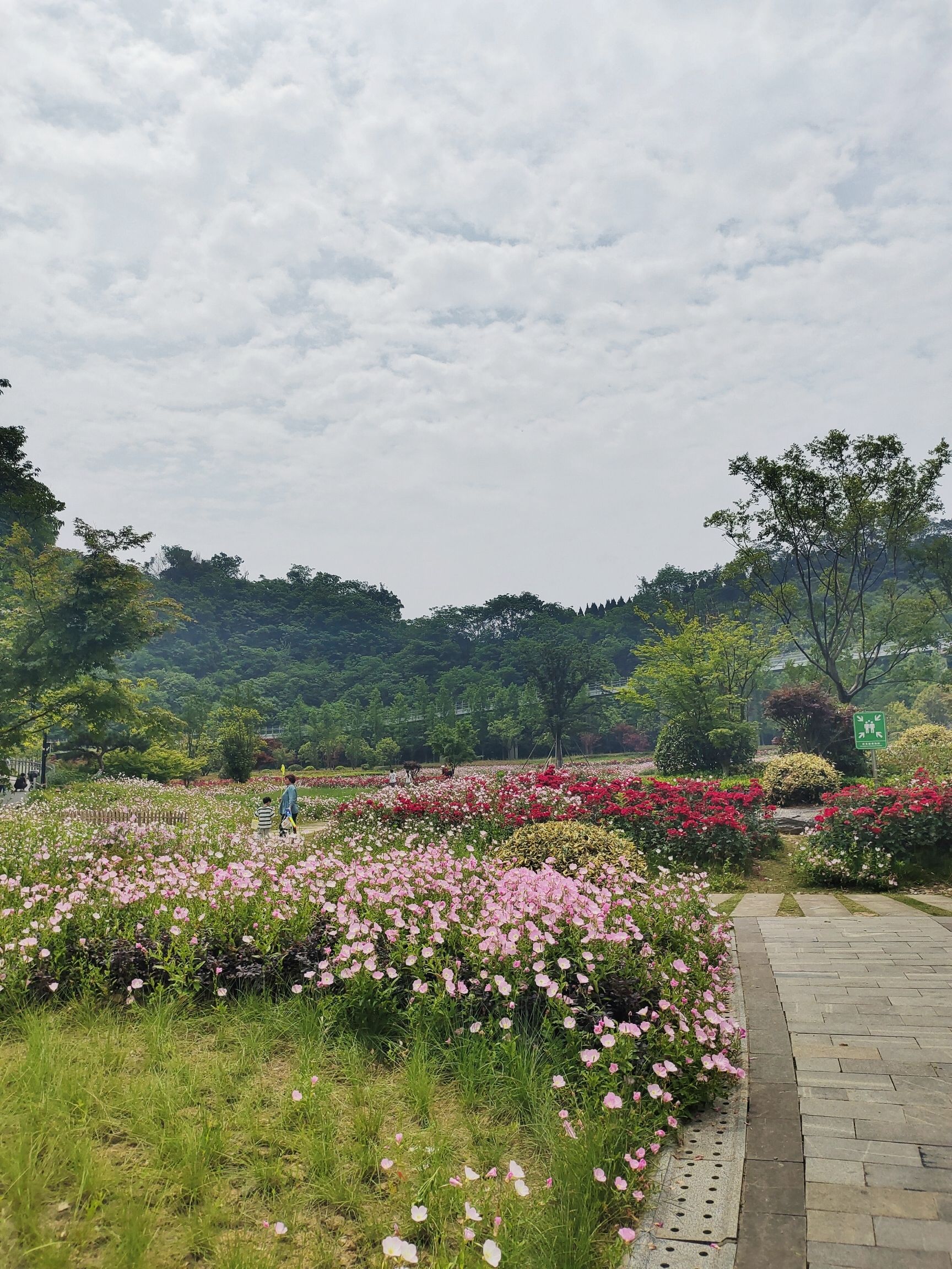 凤凰山休闲公园