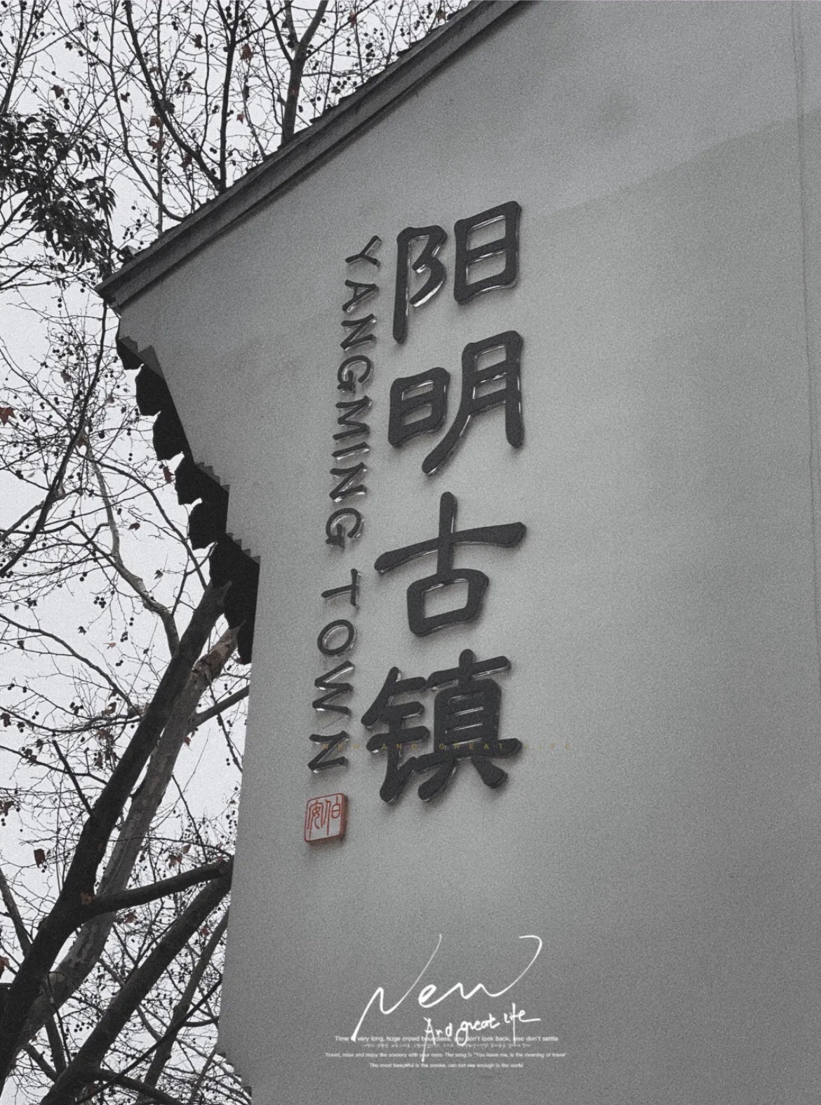 阳明古镇·府前路历史文化街区旅行图片