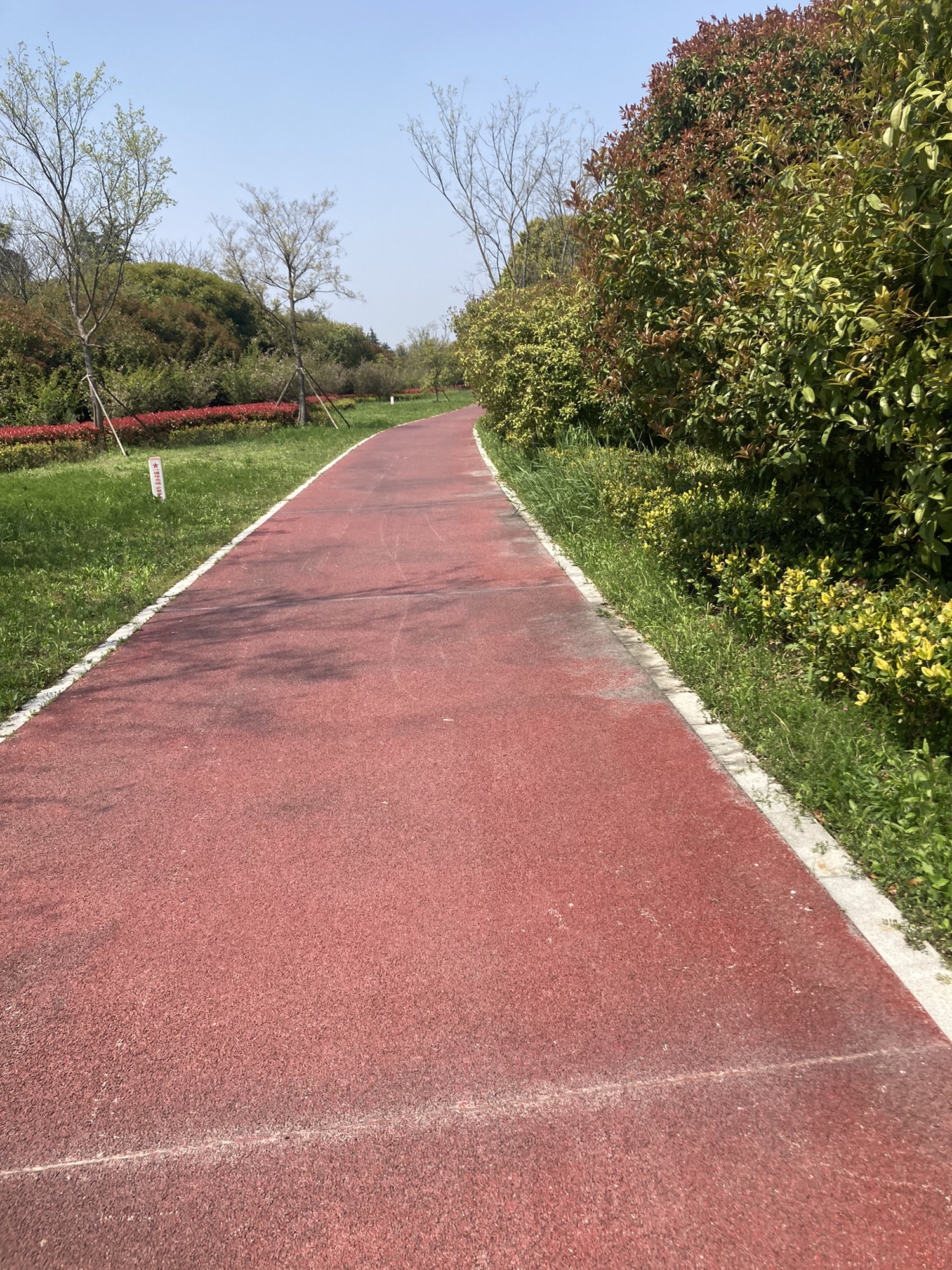 东苕溪水云绿道旅行图片