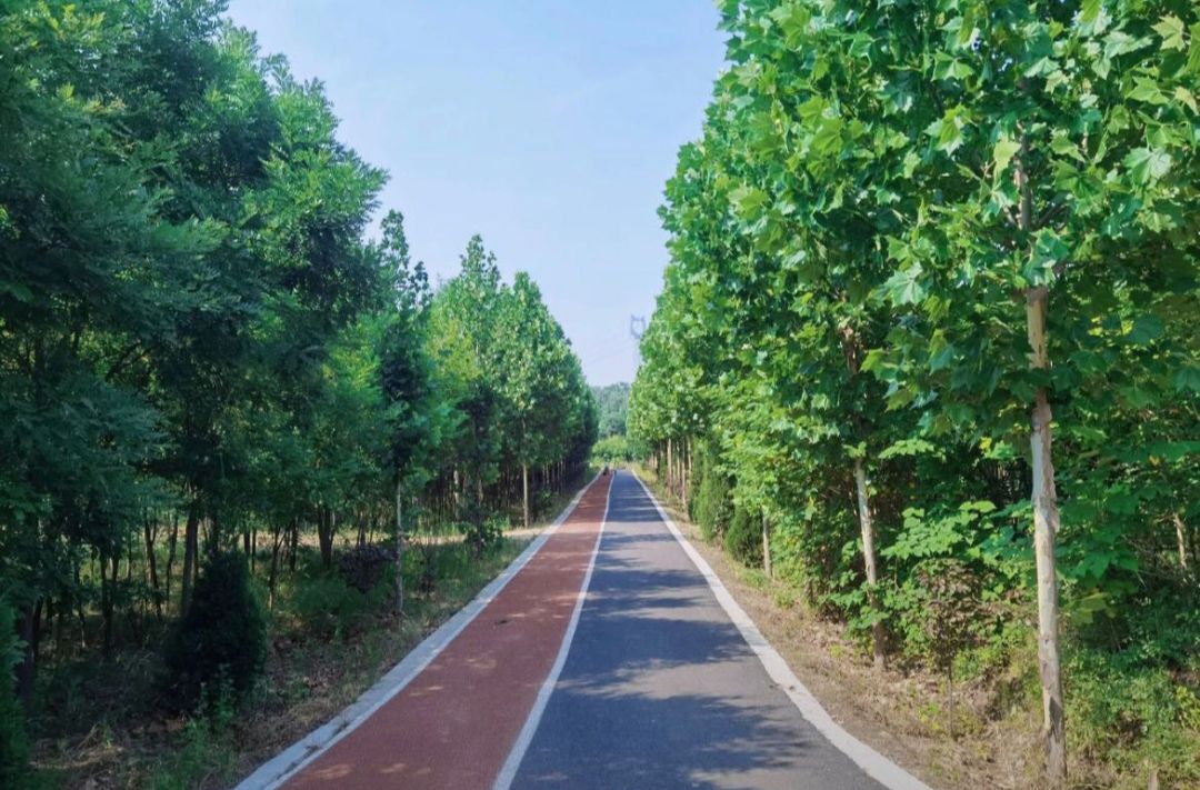闻喜县峨嵋岭森林公园旅行图片