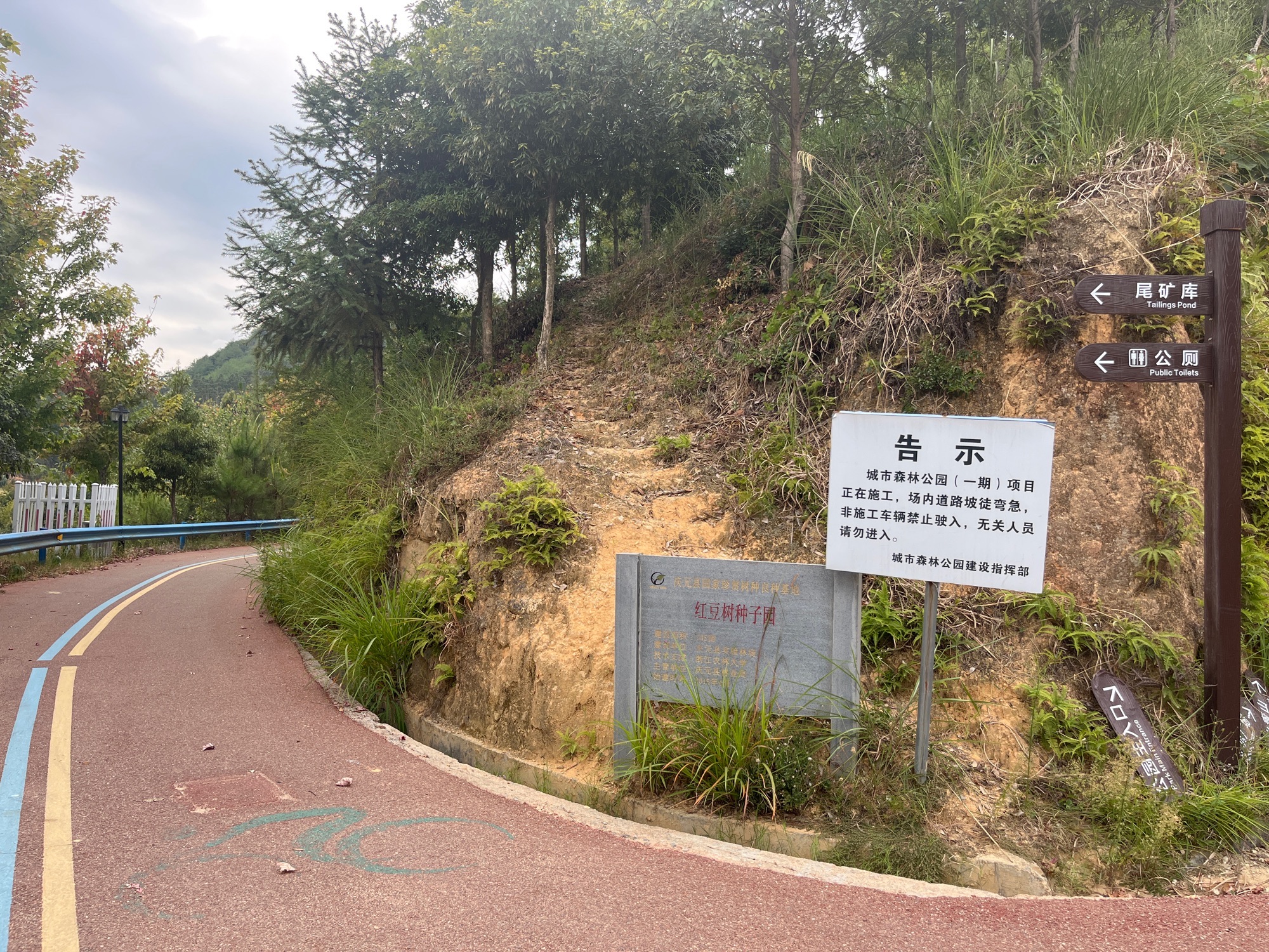 庆元城市森林公园旅行图片