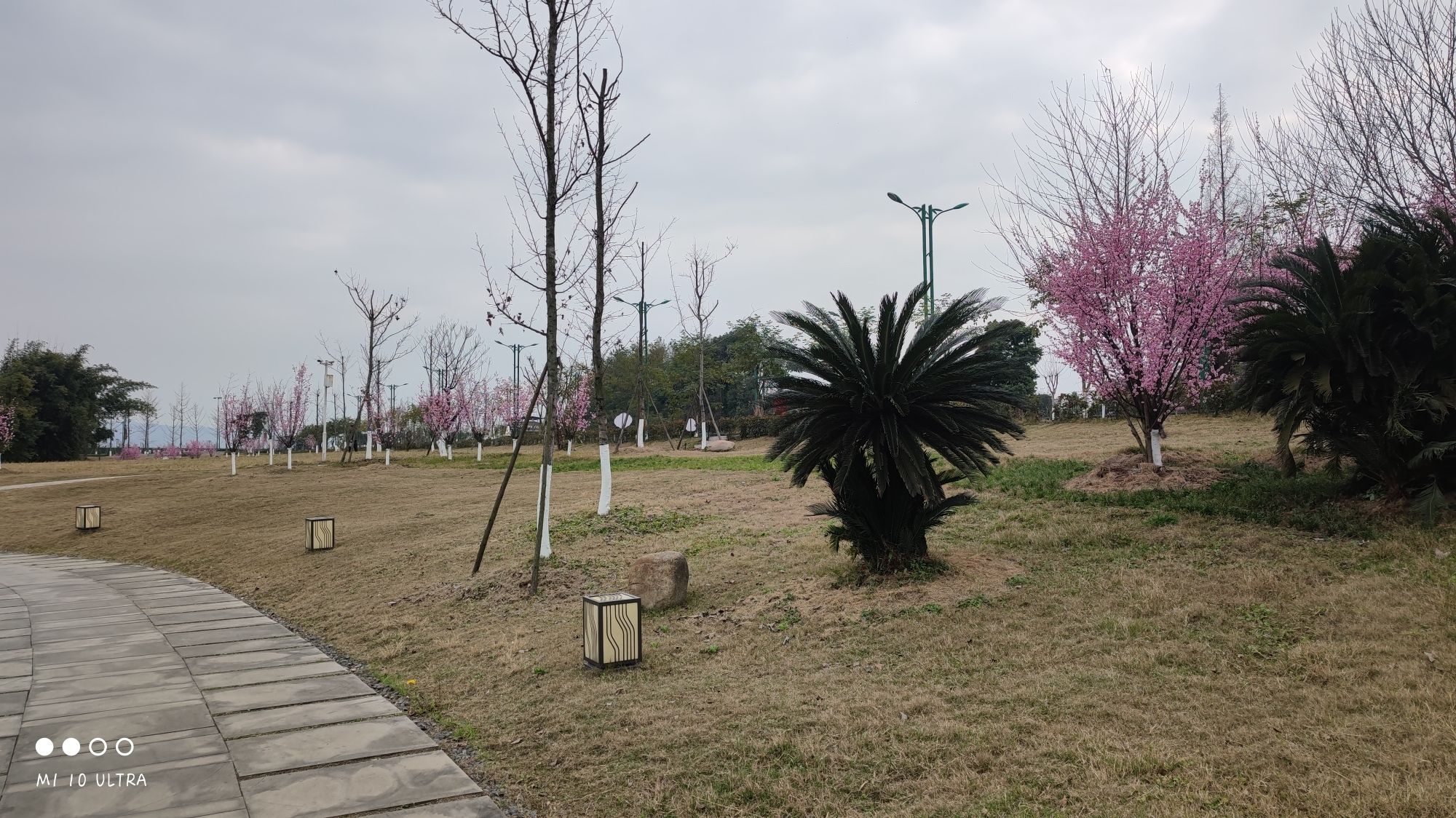 唤鱼公园