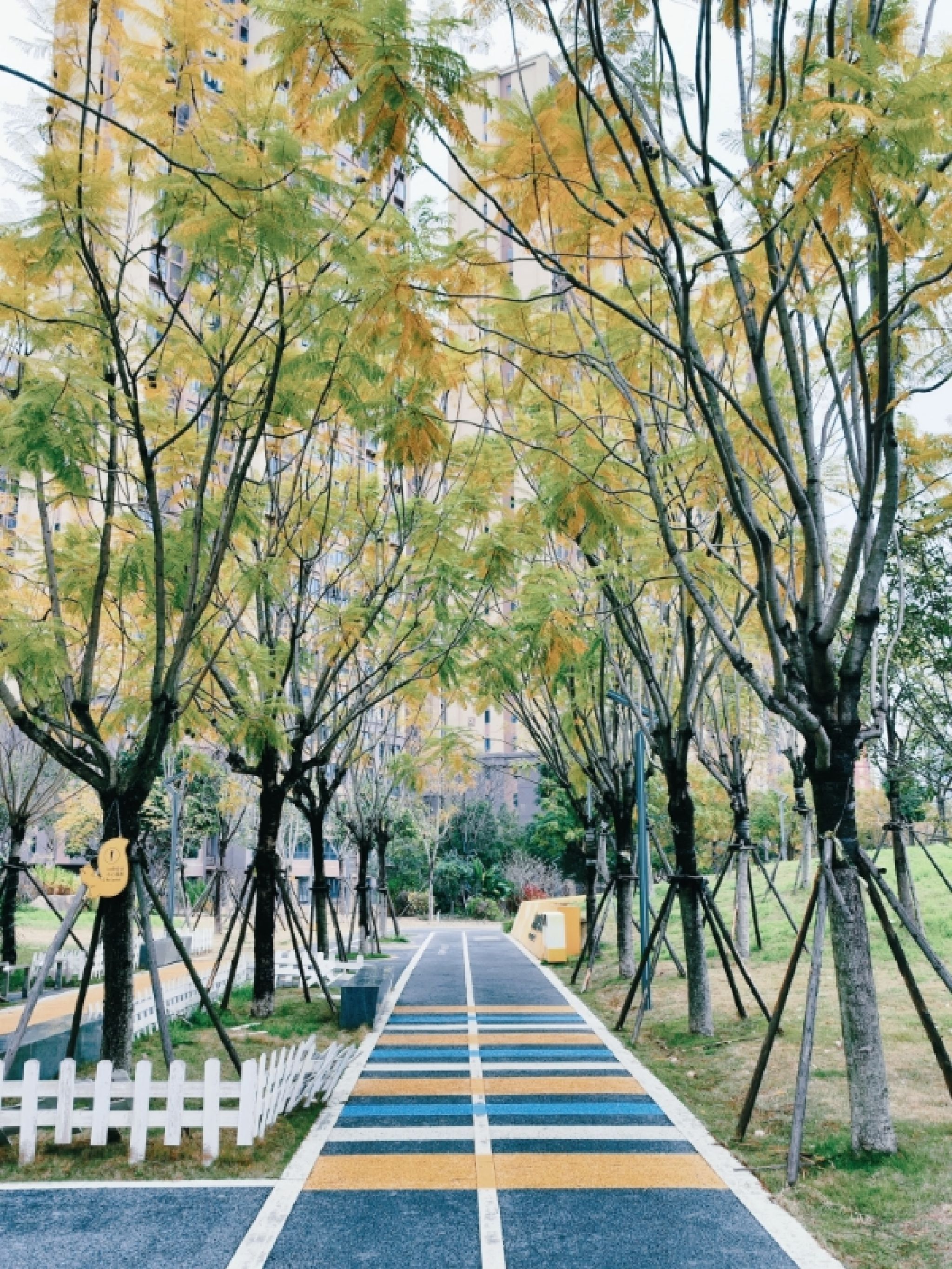 福州高新区黄风车公园旅行图片