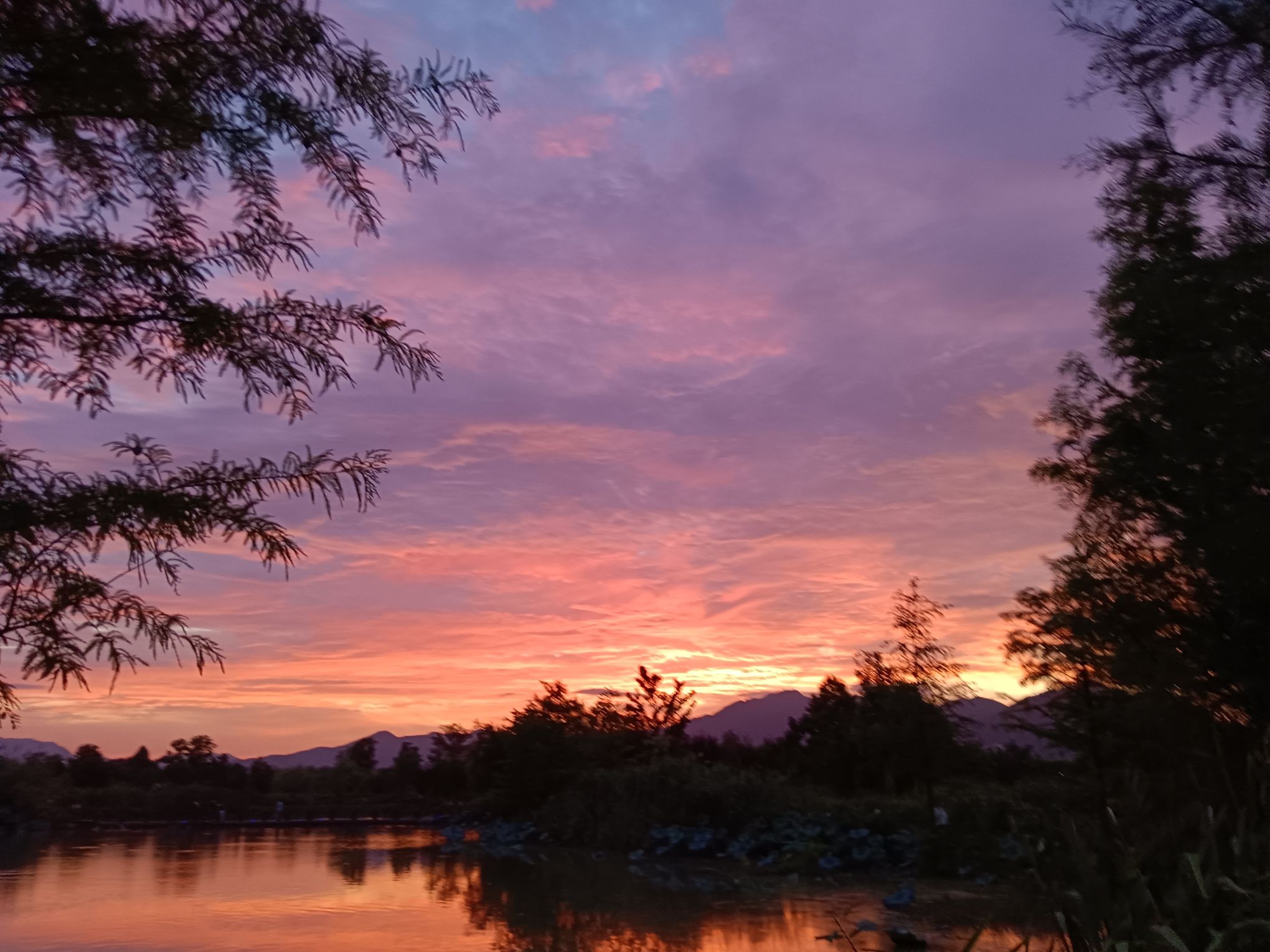 阳陂湖旅行图片