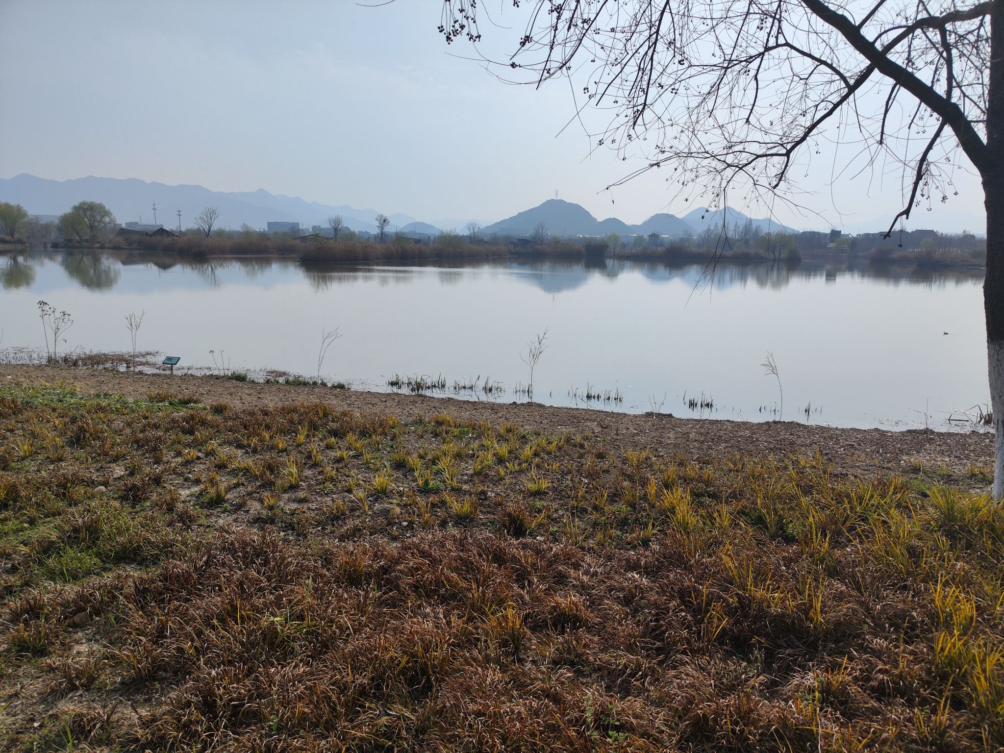 阳陂湖旅行图片