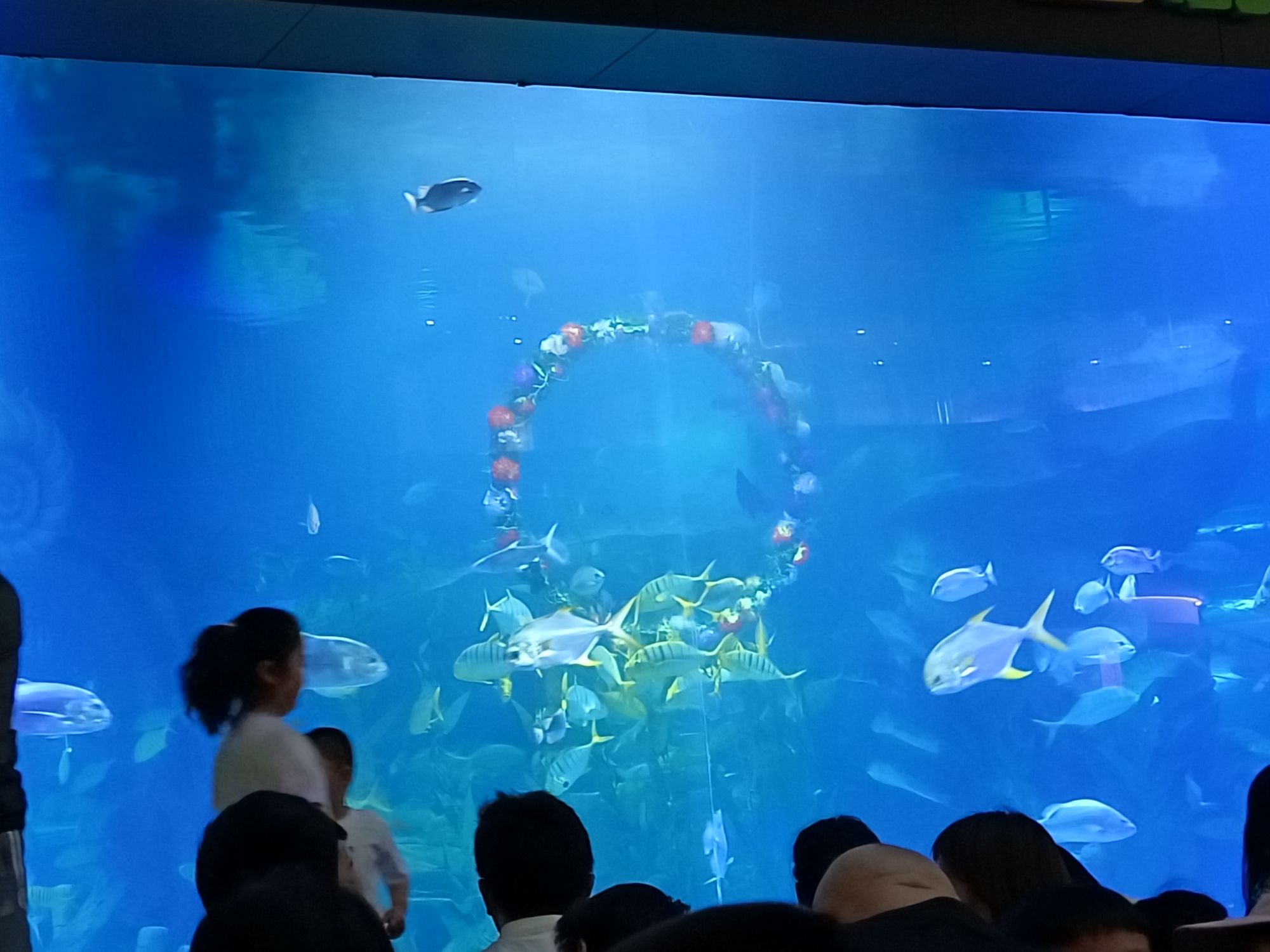 滨州海底世界