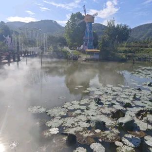 四会桔子景区