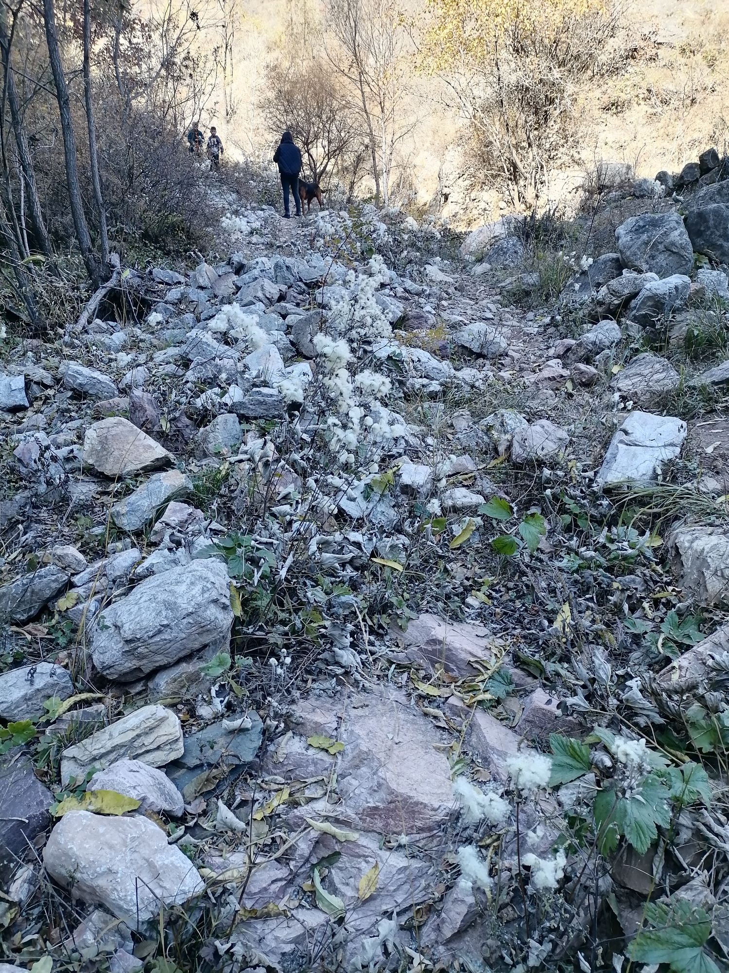定襄县东峪风景区旅行图片