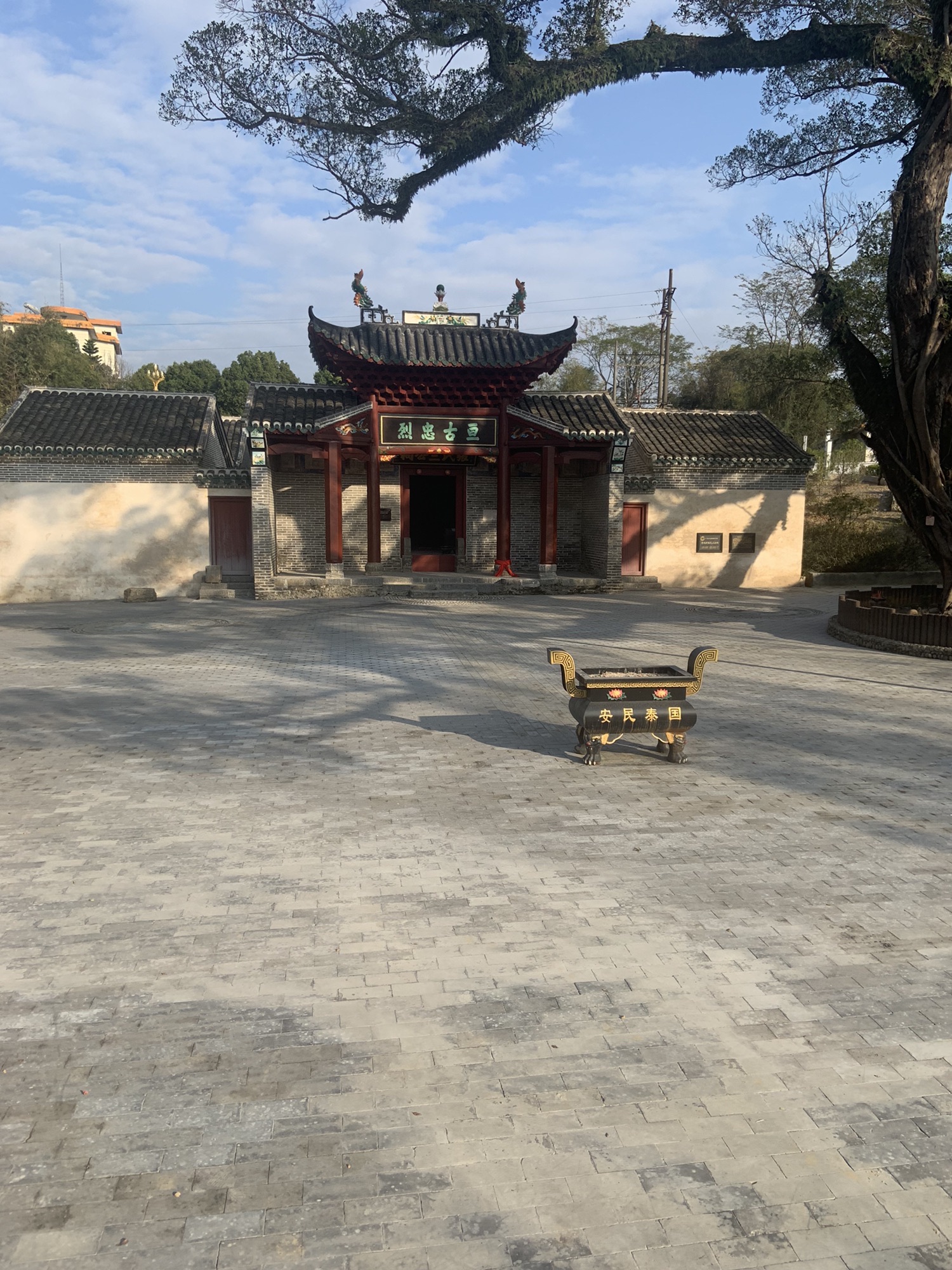 樟树王公园旅行图片