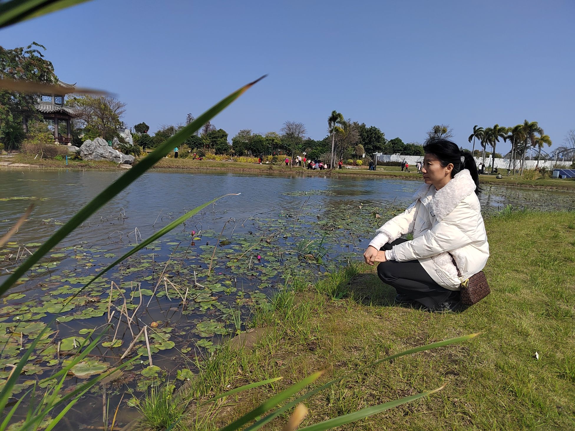 江门人才岛潮头中央公园