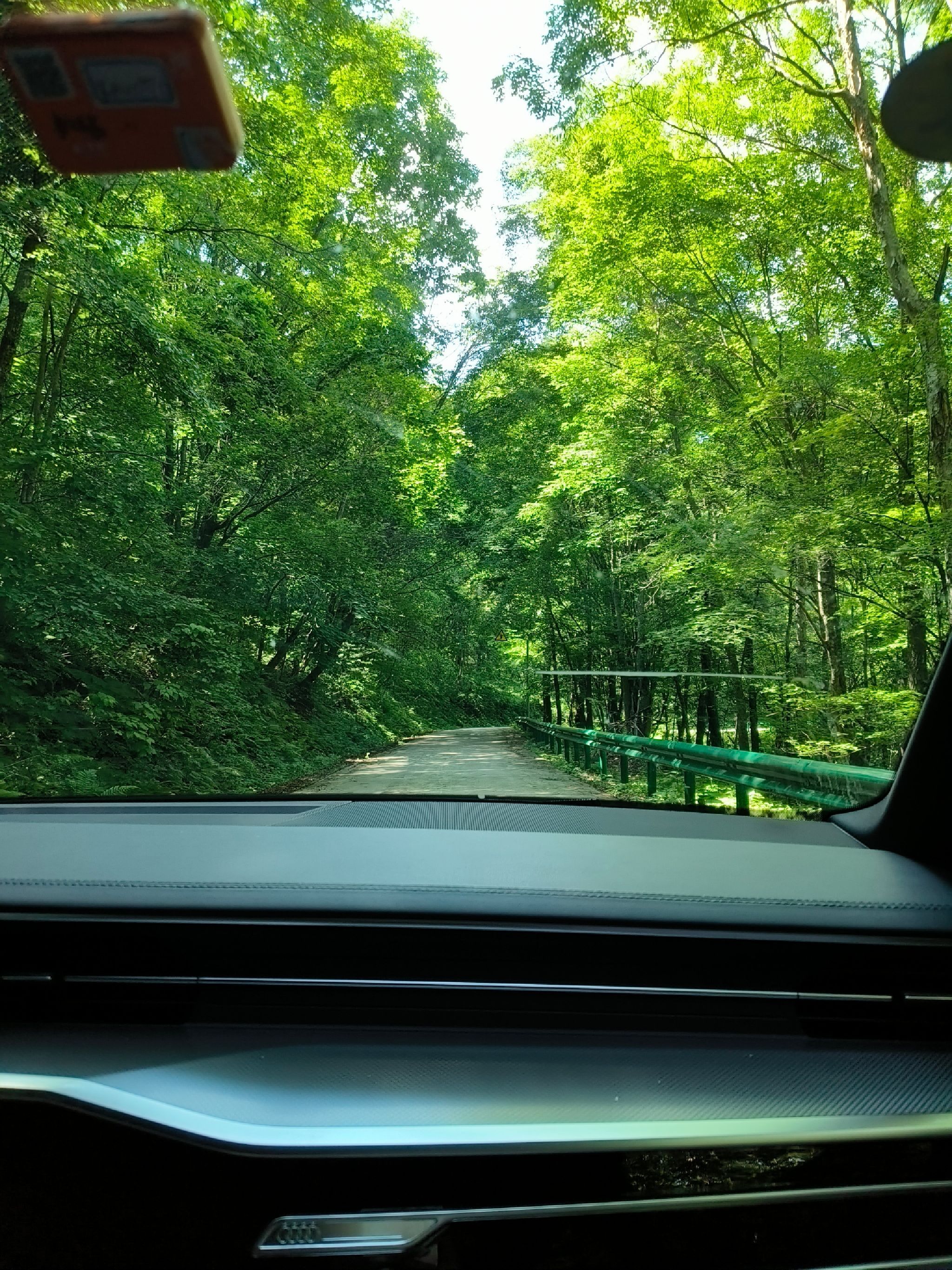 老秃顶草原景区(暂停开放)旅行图片