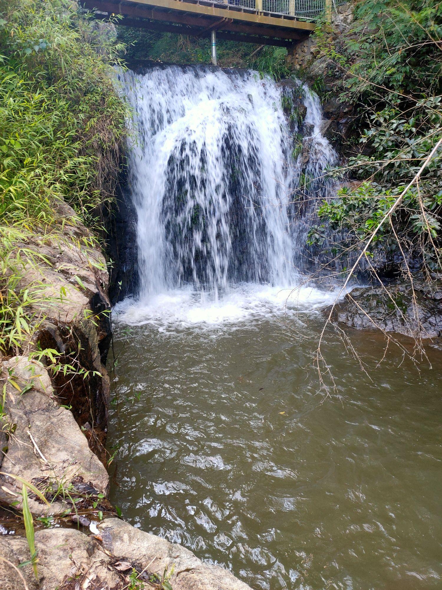 嶅山溪谷生态旅游区