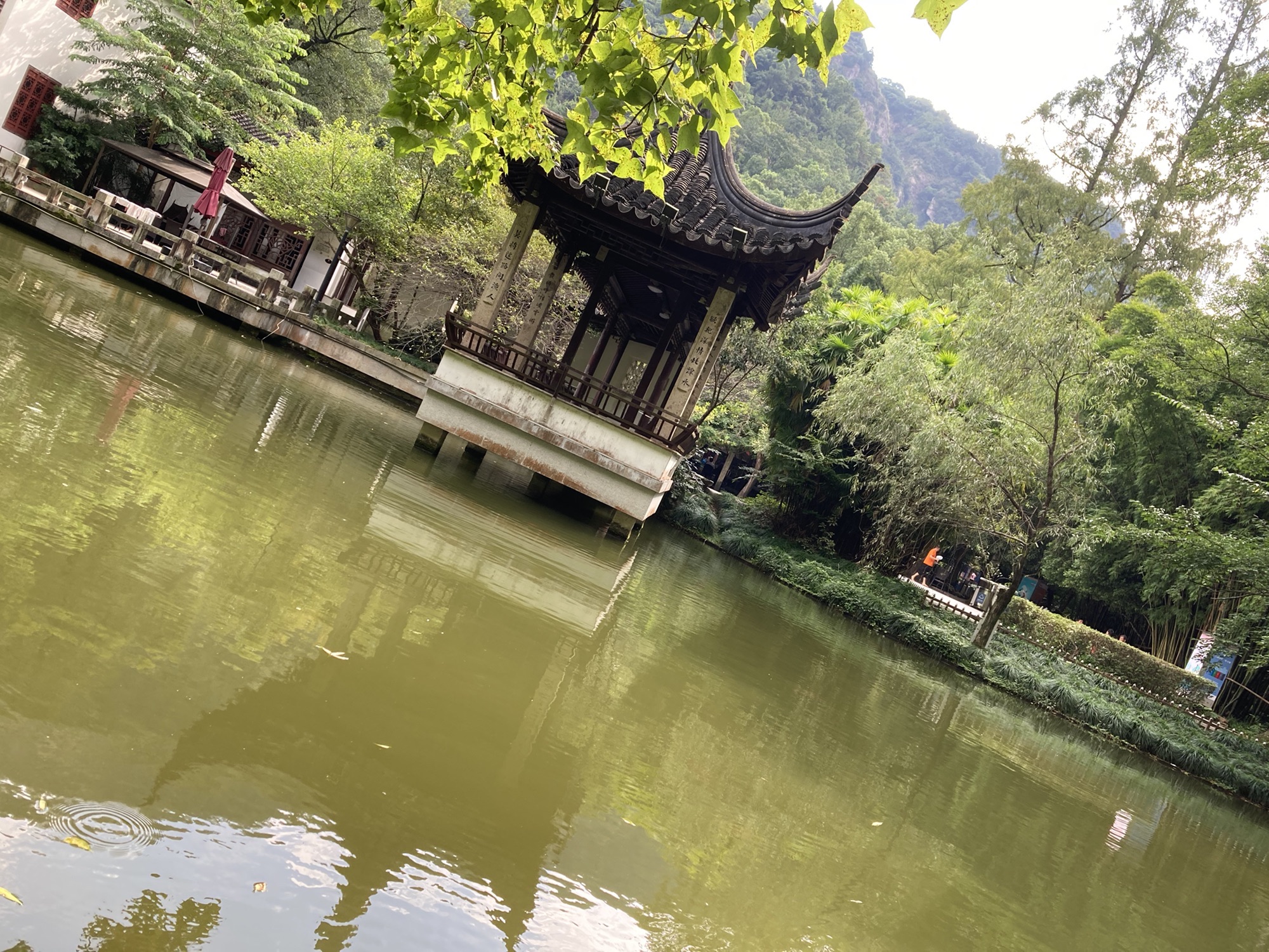路桥区儿童公园旅行图片