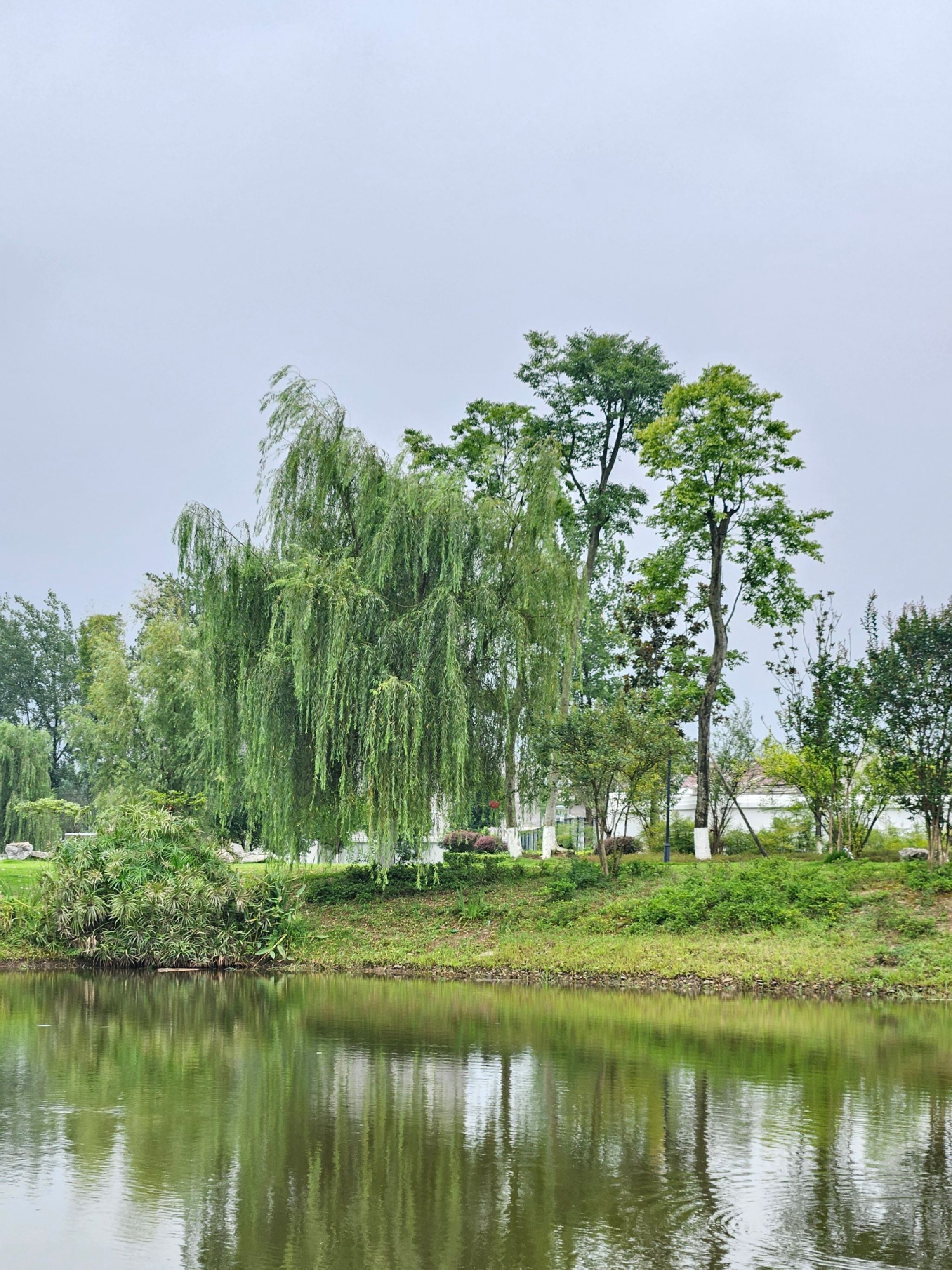 天星湖公园旅行图片