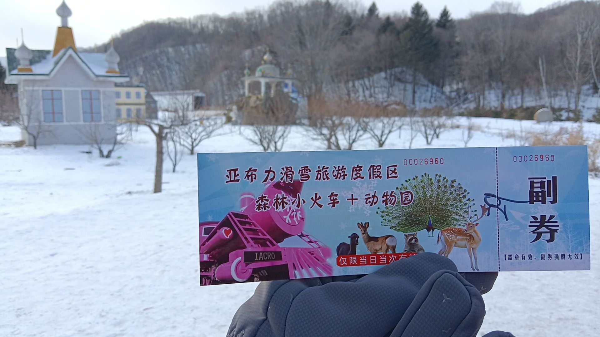 亚布力森林小火车(俄罗斯风情园)