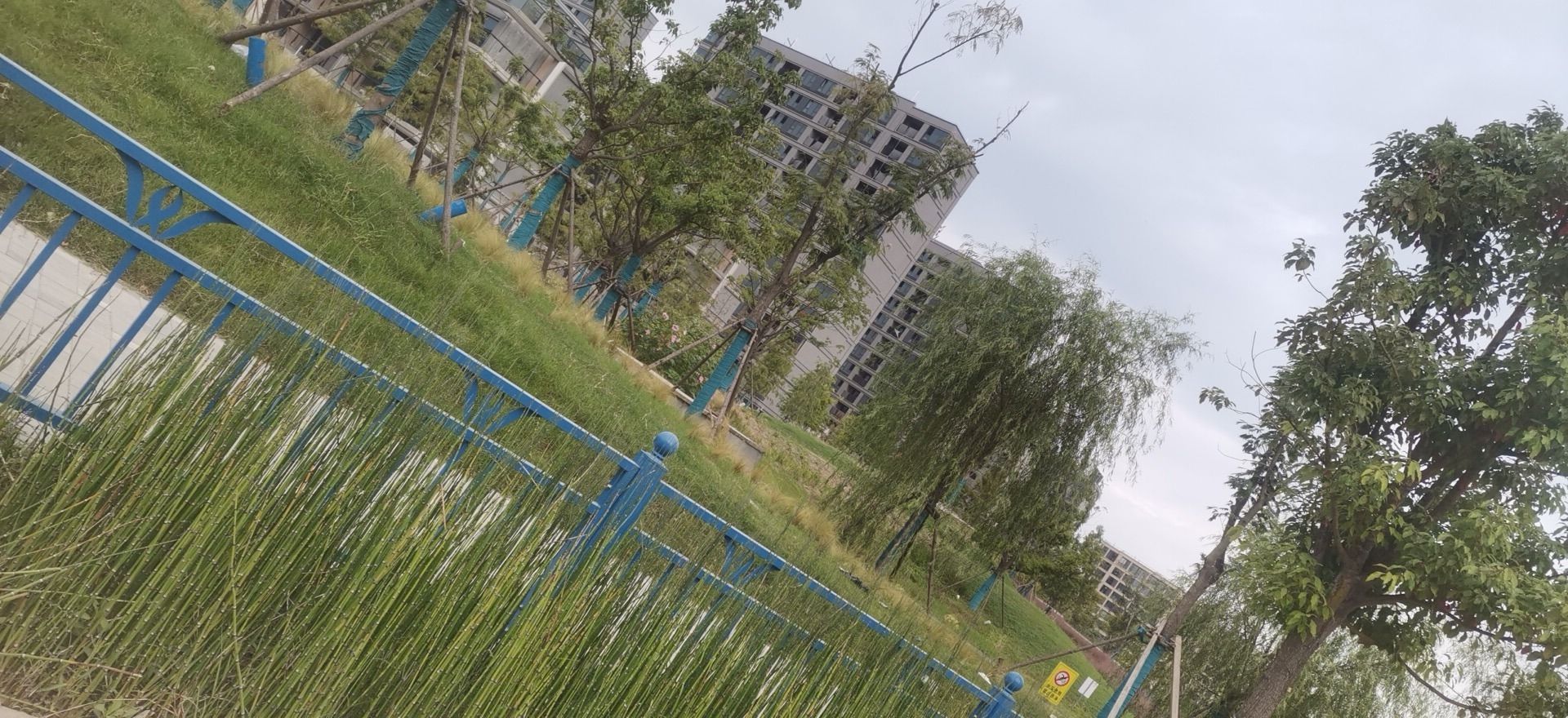 蓝湾公园