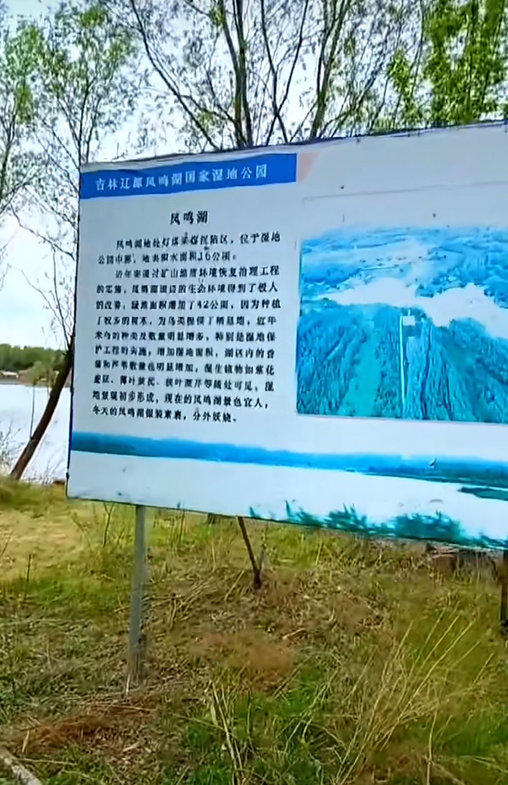 辽源凤鸣湖国家湿地公园旅行图片