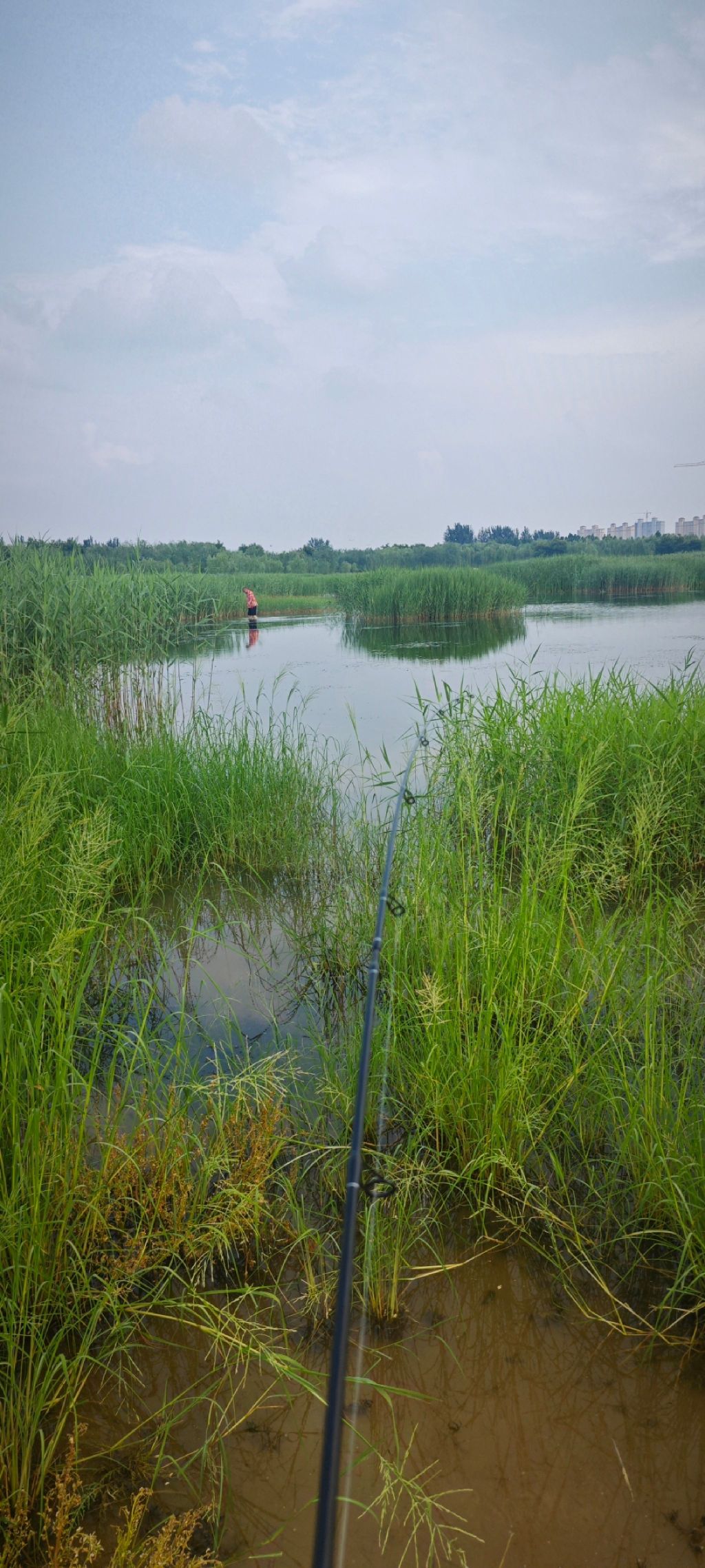 宁晋凤鸣湖公园旅行图片